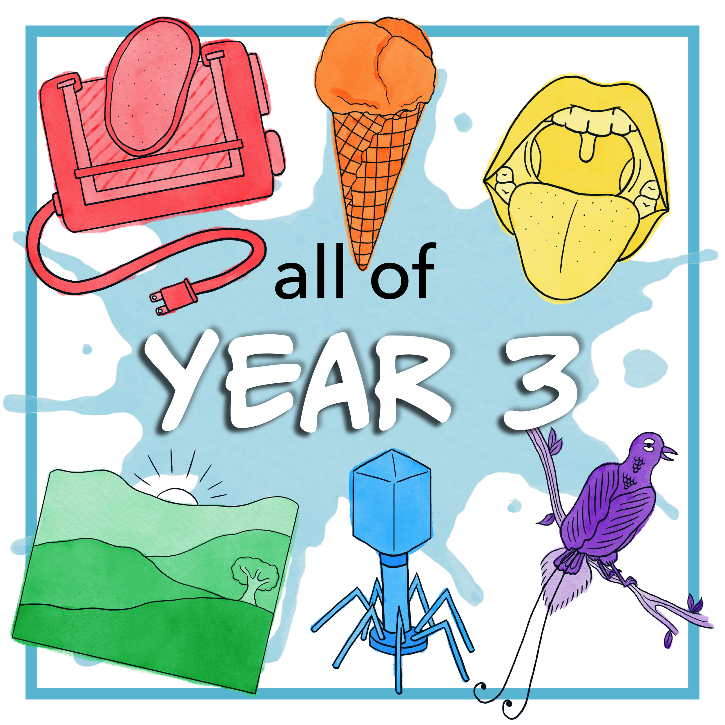 All of Year 3