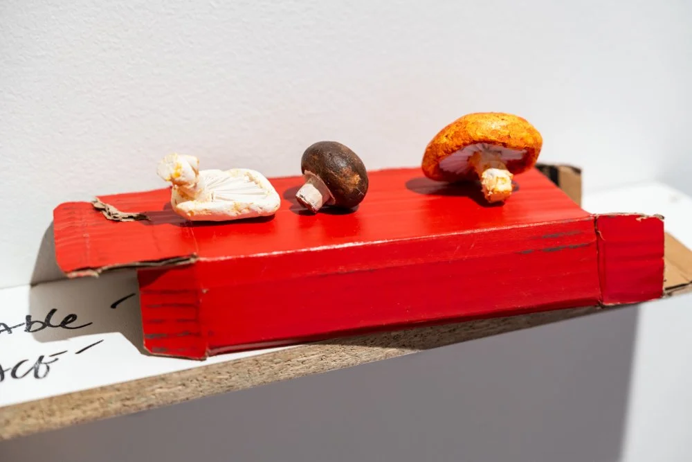 Redland Art Gallery 20240202 HR-71.jpg