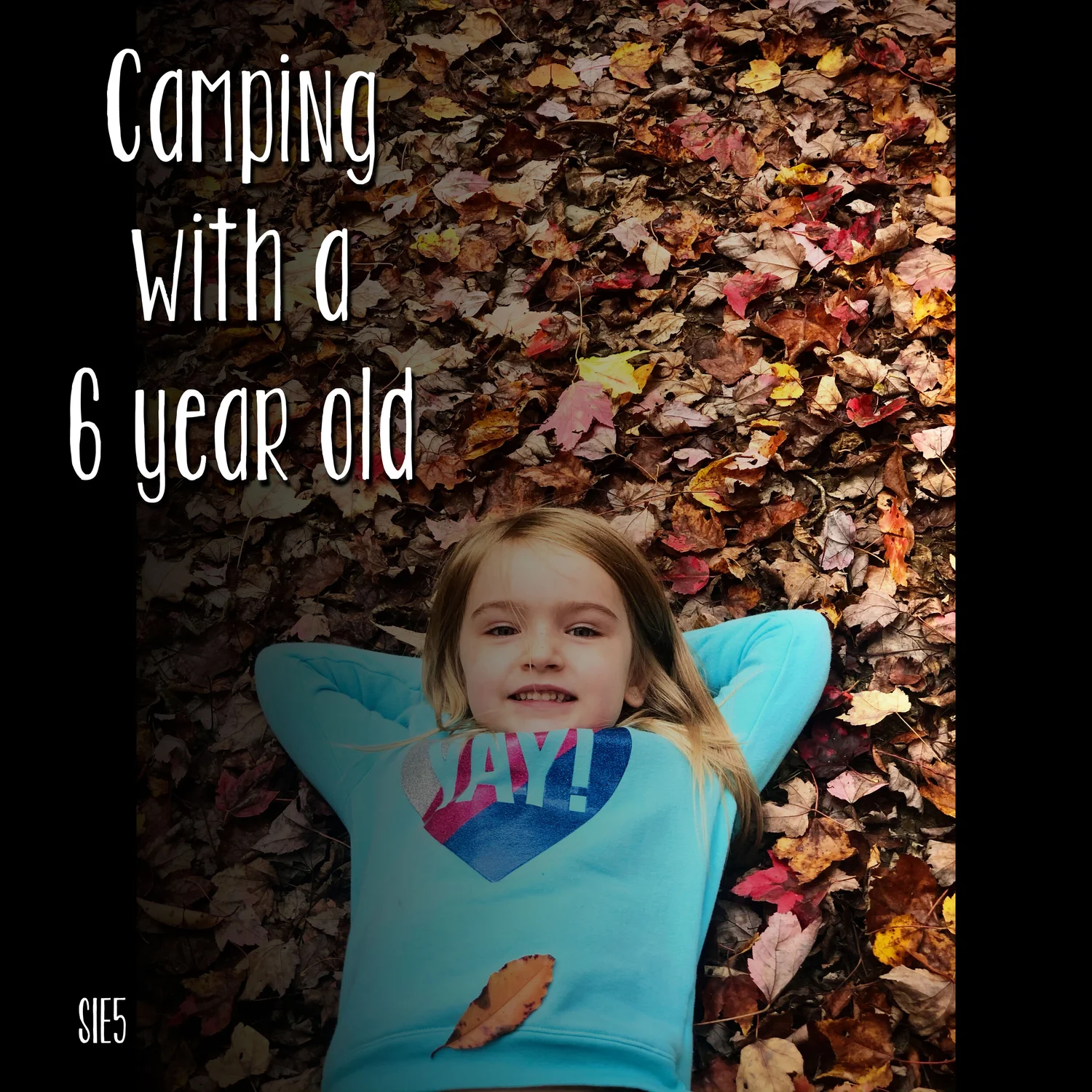 S1 E5 : Camping with a 6 year old episode artwork