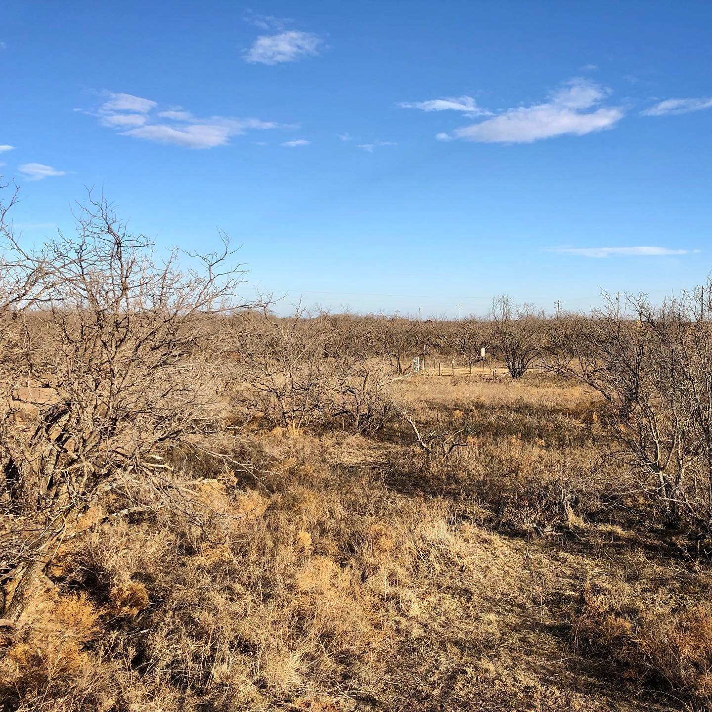 𝙱𝙴𝙰𝚄𝚃𝚈
You can find beauty in any place you visit. Growing up in the deserts of Texas, we took for granted the vast landscapes and beauty they can bestow upon you. 

What is one place you take for granted?

#countryside_rving #visittexas #texas