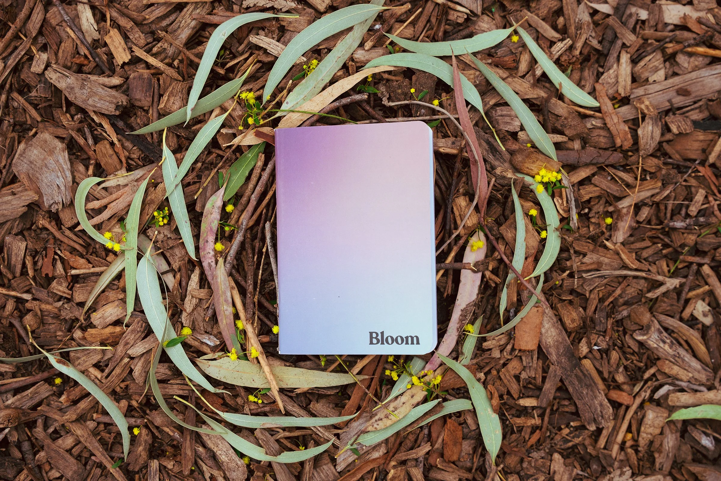 2025.09_BLOOM_LOWRES_@MAXROUX-14 copy.jpg