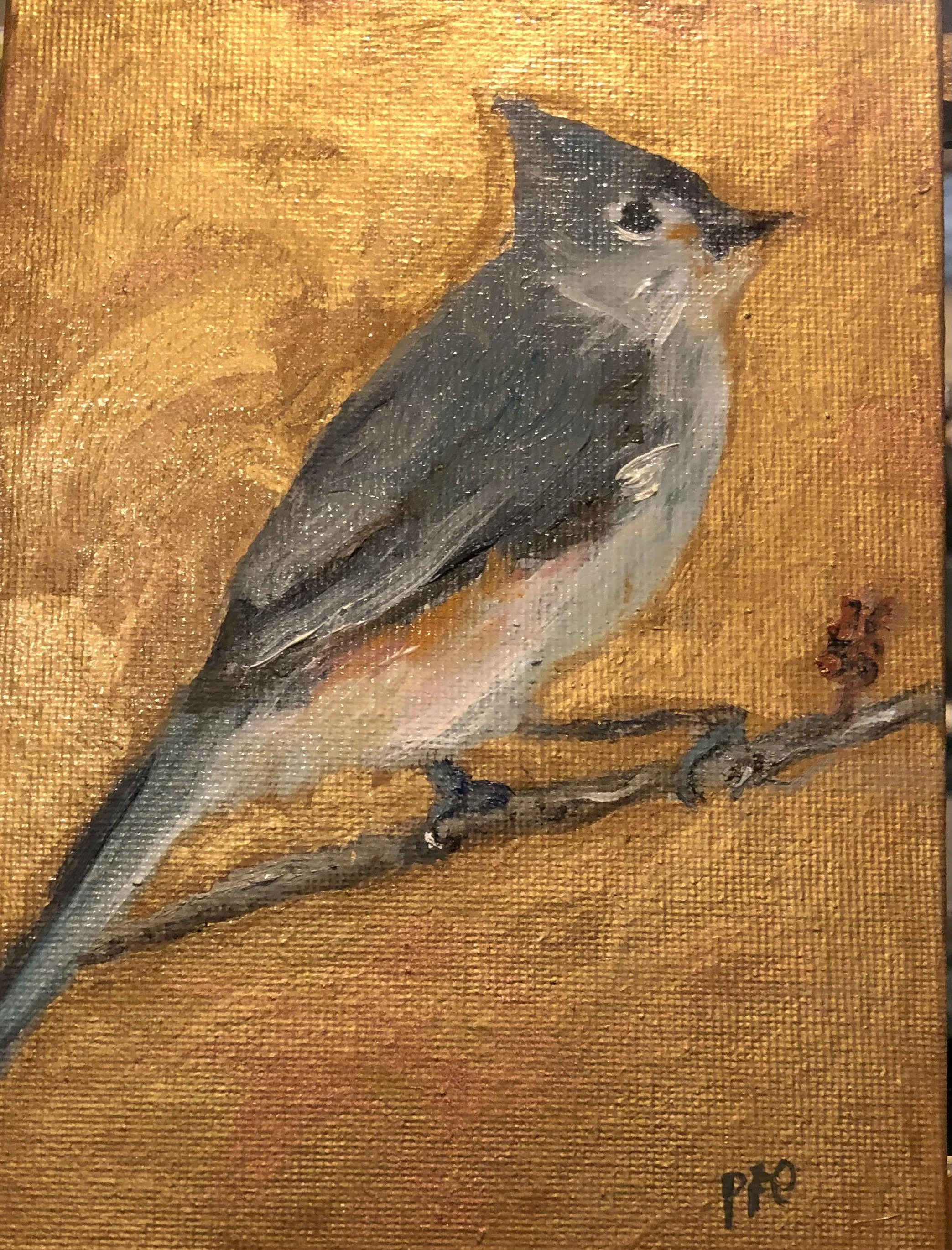 Tufted Titmouse. 5" x 7" oil. Sold