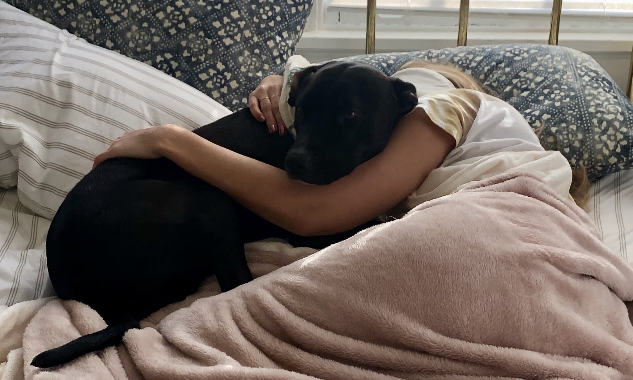 I Wanted to Better Understand My Dog — So I Hired a Pet Psychic