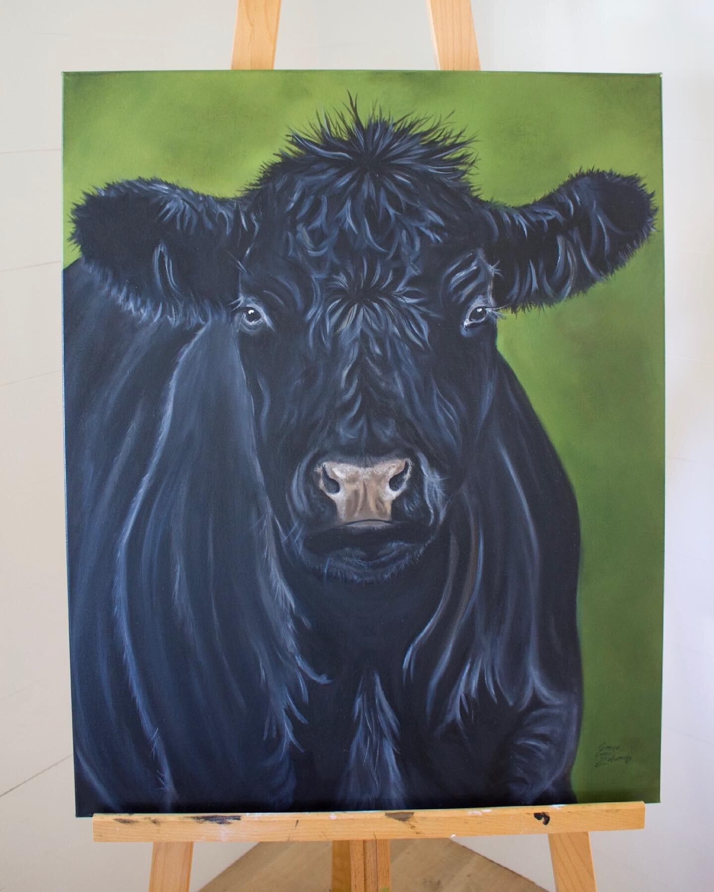 I heard it was National Black Cow Day so I had share this painting! I&rsquo;d love to paint a Highland next. 🐄 
.
.
.
#smallbizz #artiststudiolife #oilpainter #oilartist #oilpaintingartist #animalpainting #anguscow #blackcow #farmhouseart #cowofthed