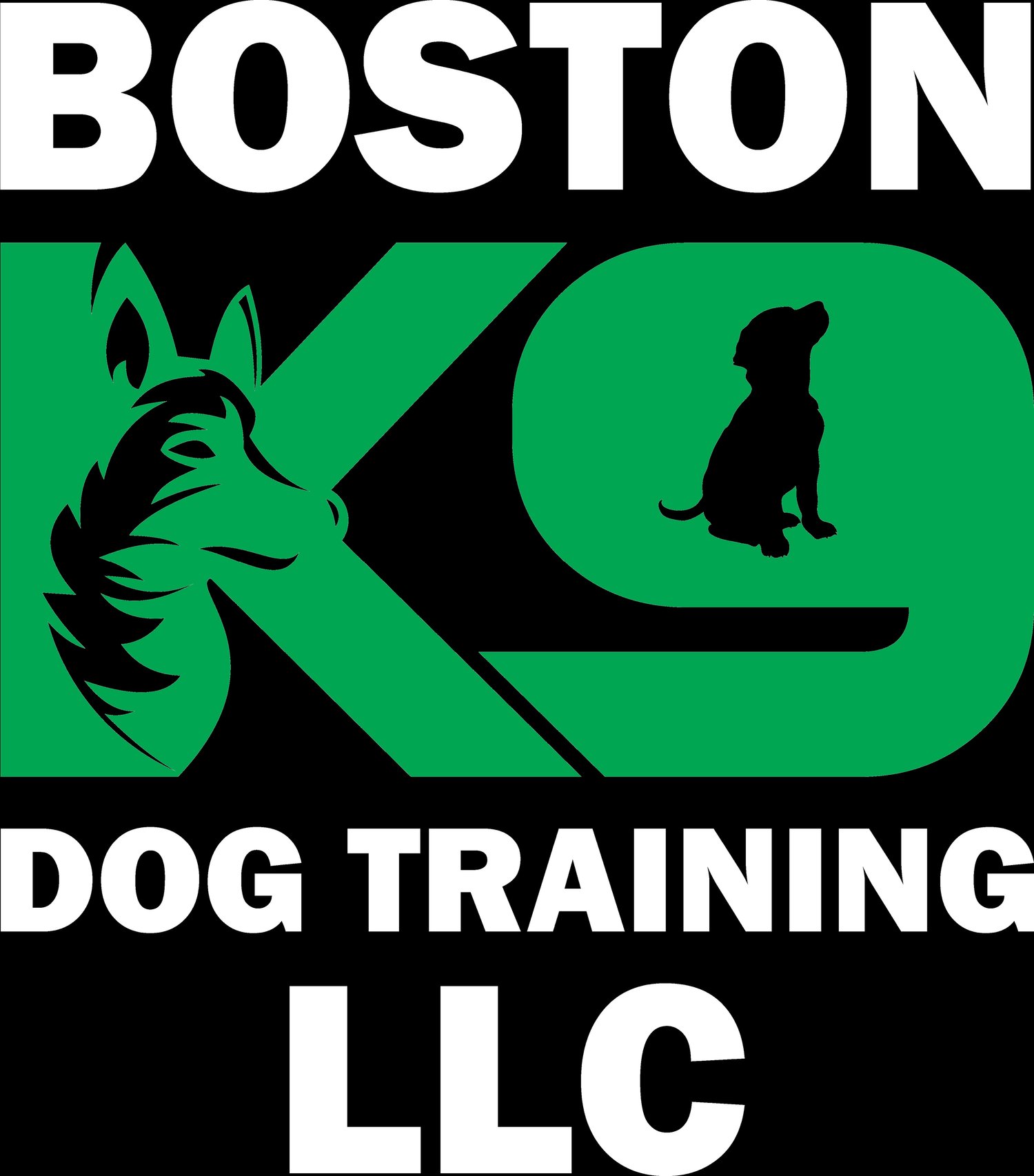 BOSTON K9 DOG TRAINING