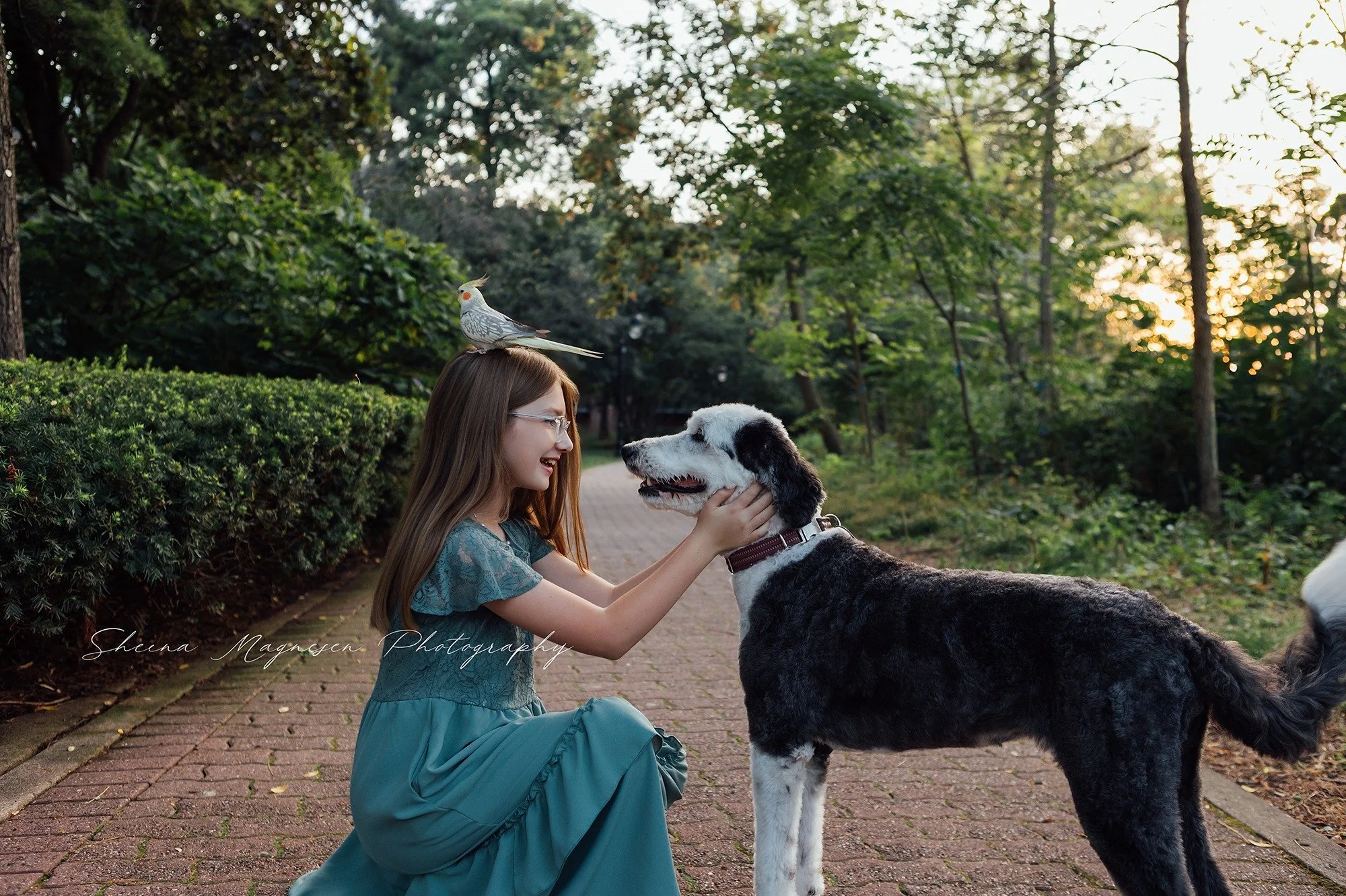 Because sometimes your best friends have feathers and fur. 🐦🐾💛

Sessions like these are my favorite&mdash;the ones that capture pure personality and the love that makes your family unique. Whether it&rsquo;s giggles, furry hugs, or feathered sidek