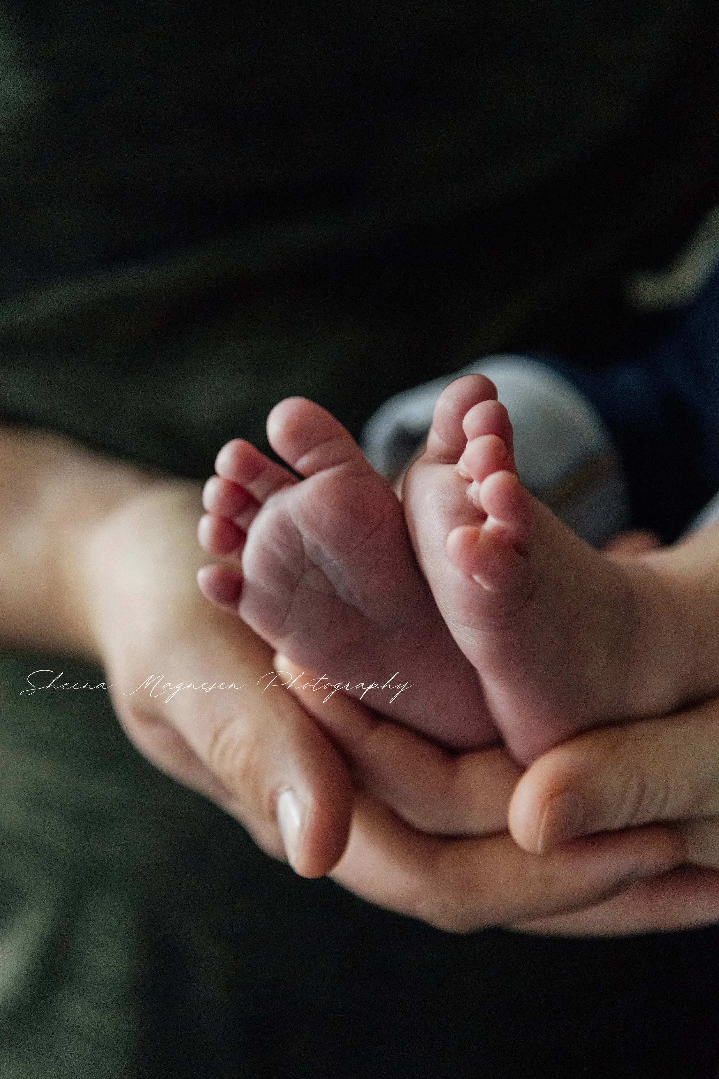 Close-up detail of baby's feet during lifestyle newborn session at home in Naperville Illinois