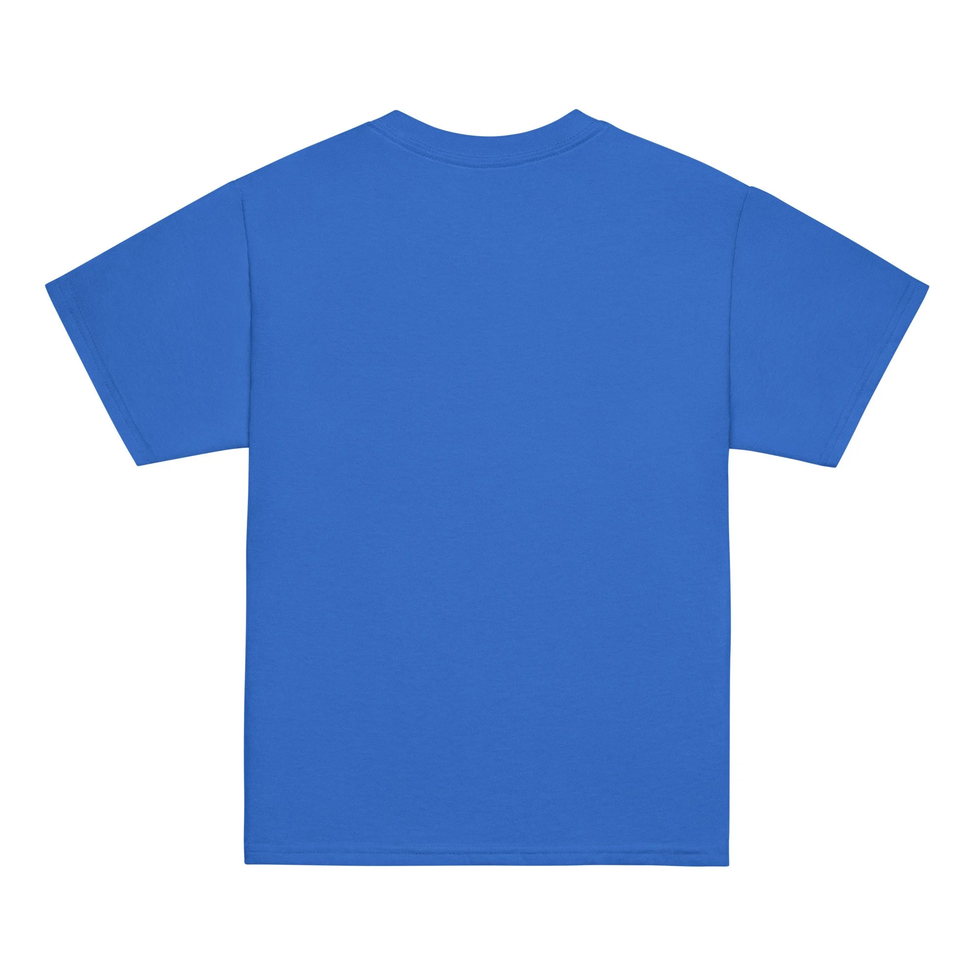 youth-classic-tee-royal-back-6893c877813d3.jpg