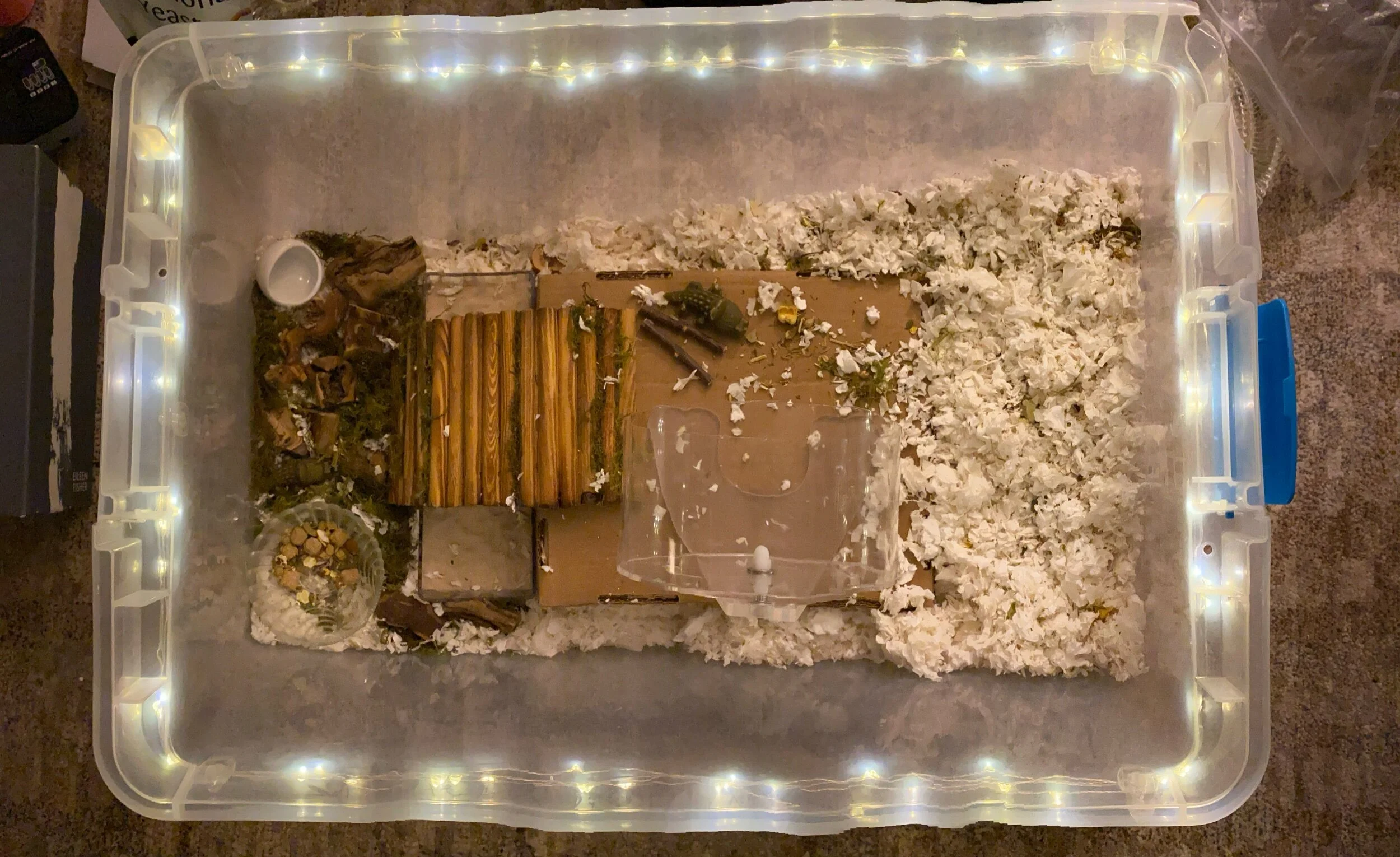 Top view of Steven’s first, 100 qt bin cage