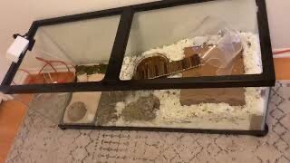 IMG_8309.jpeg