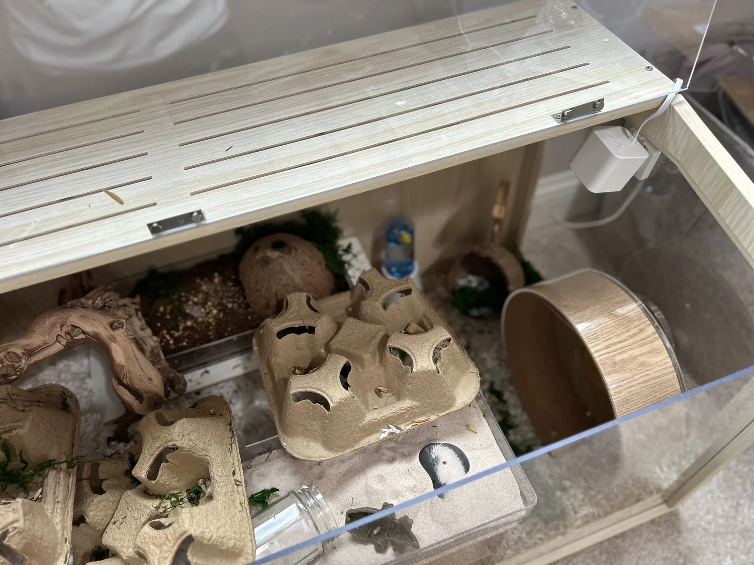 Setting Up a Hamster Cage — Rachel Got Hamsters - Secure Hamster Cage Recommendations For Hamsters And Beginners