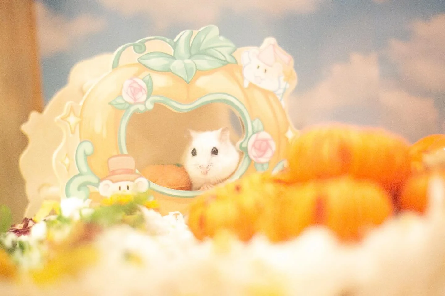 June Bug is ready for her Fairy God-hamster 🧚🐹 to arrive!  The other hamsters have been working all night on a ball gown for June Bug to wear to the hamster ball&hellip; 🐹👗🧵🪡🪩 

(Oh, have you never been to the hamster ball? Don&rsquo;t worry I