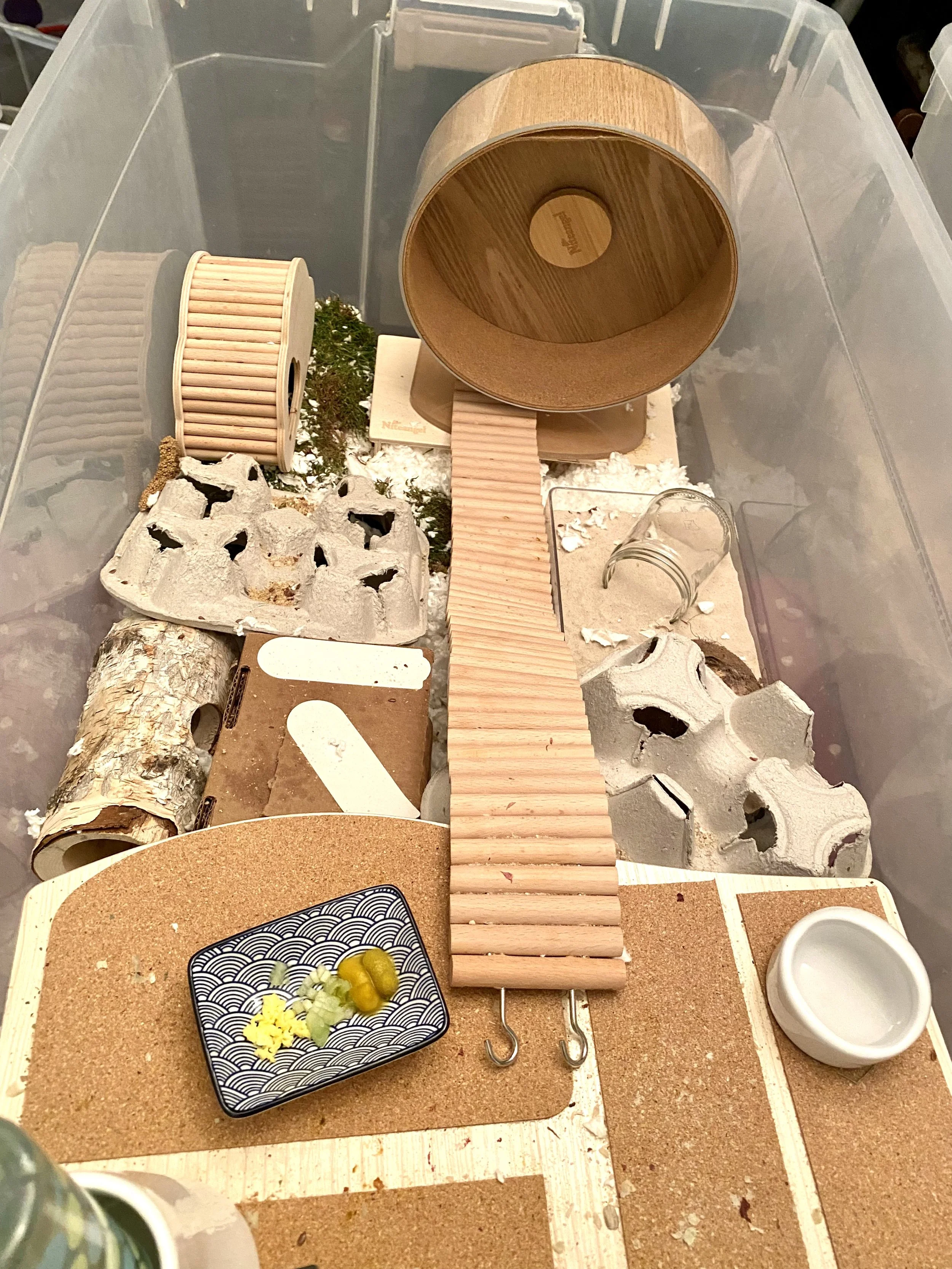 All About Bin Cages — Rachel Got Hamsters