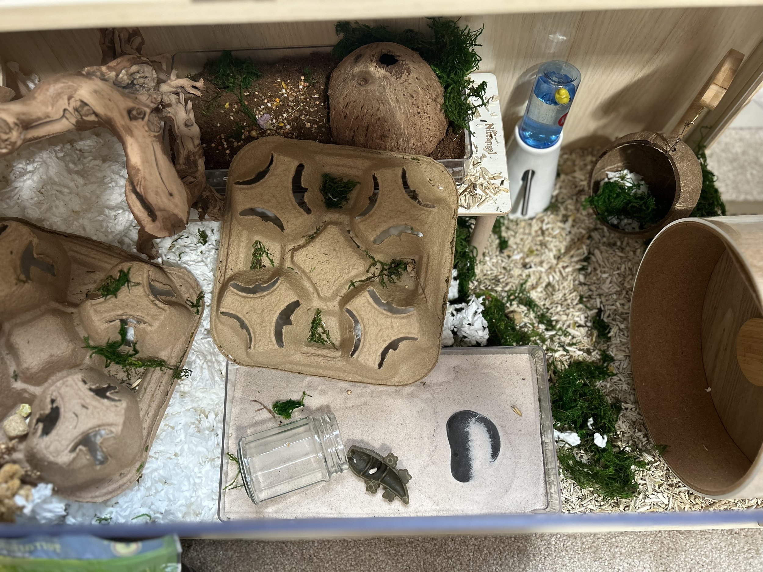 Hamster Product Review - Niteangel Forest Moss 