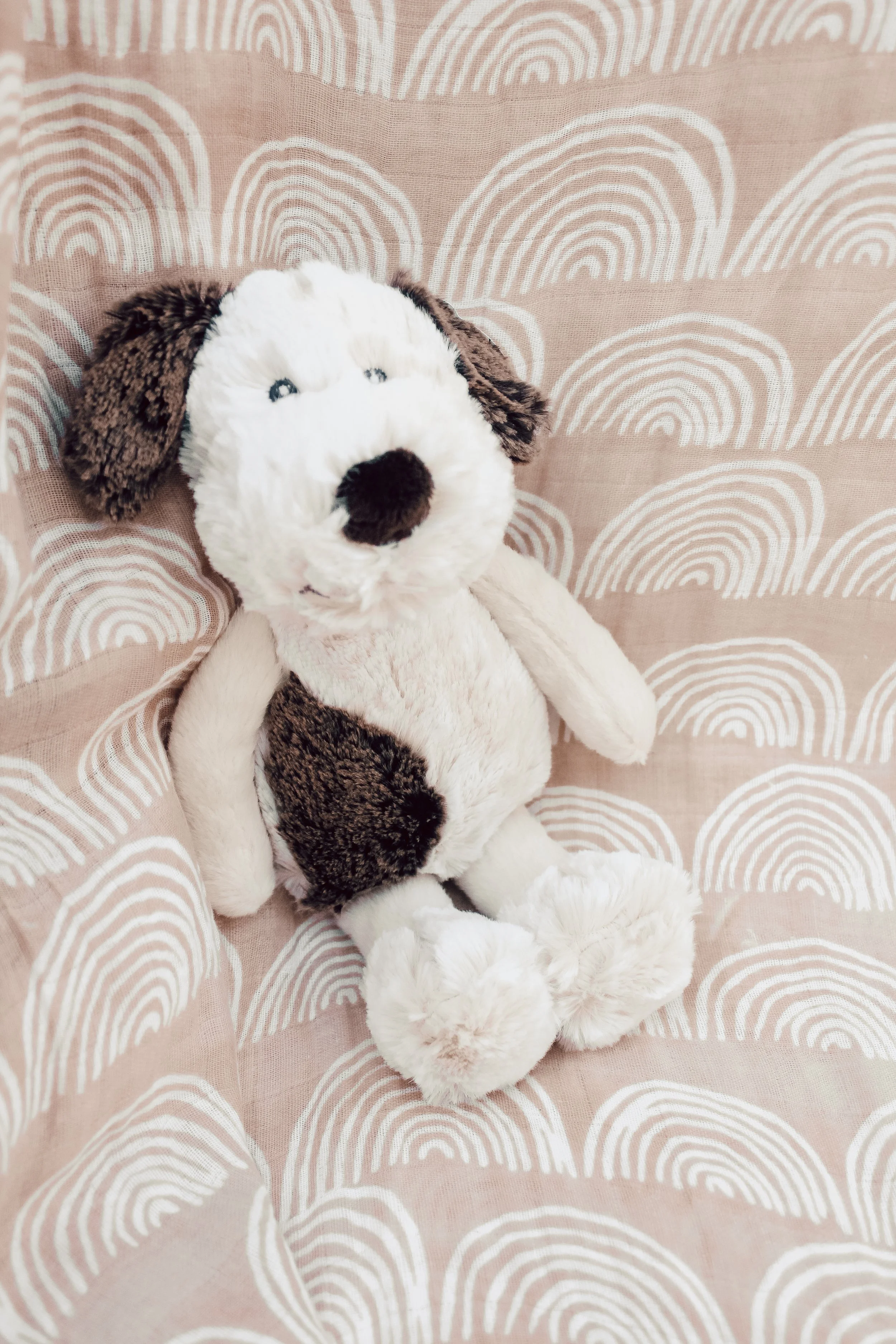 Pip Puppy