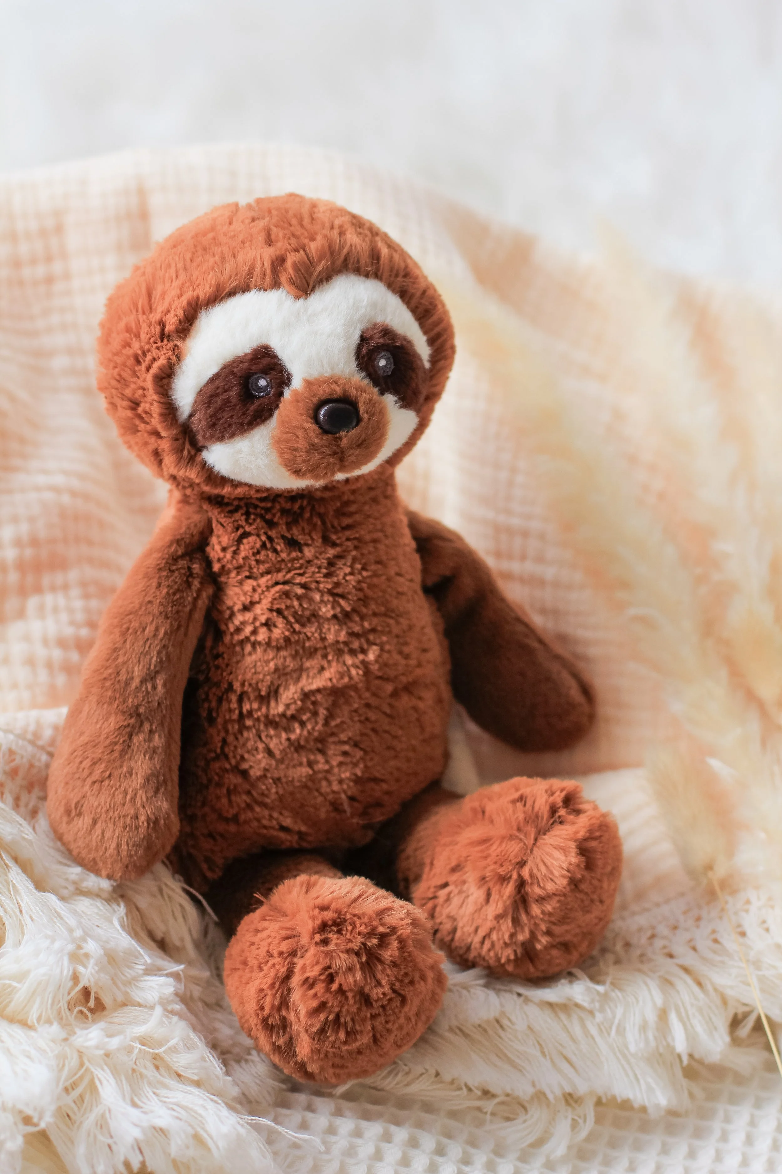 Rio Sloth