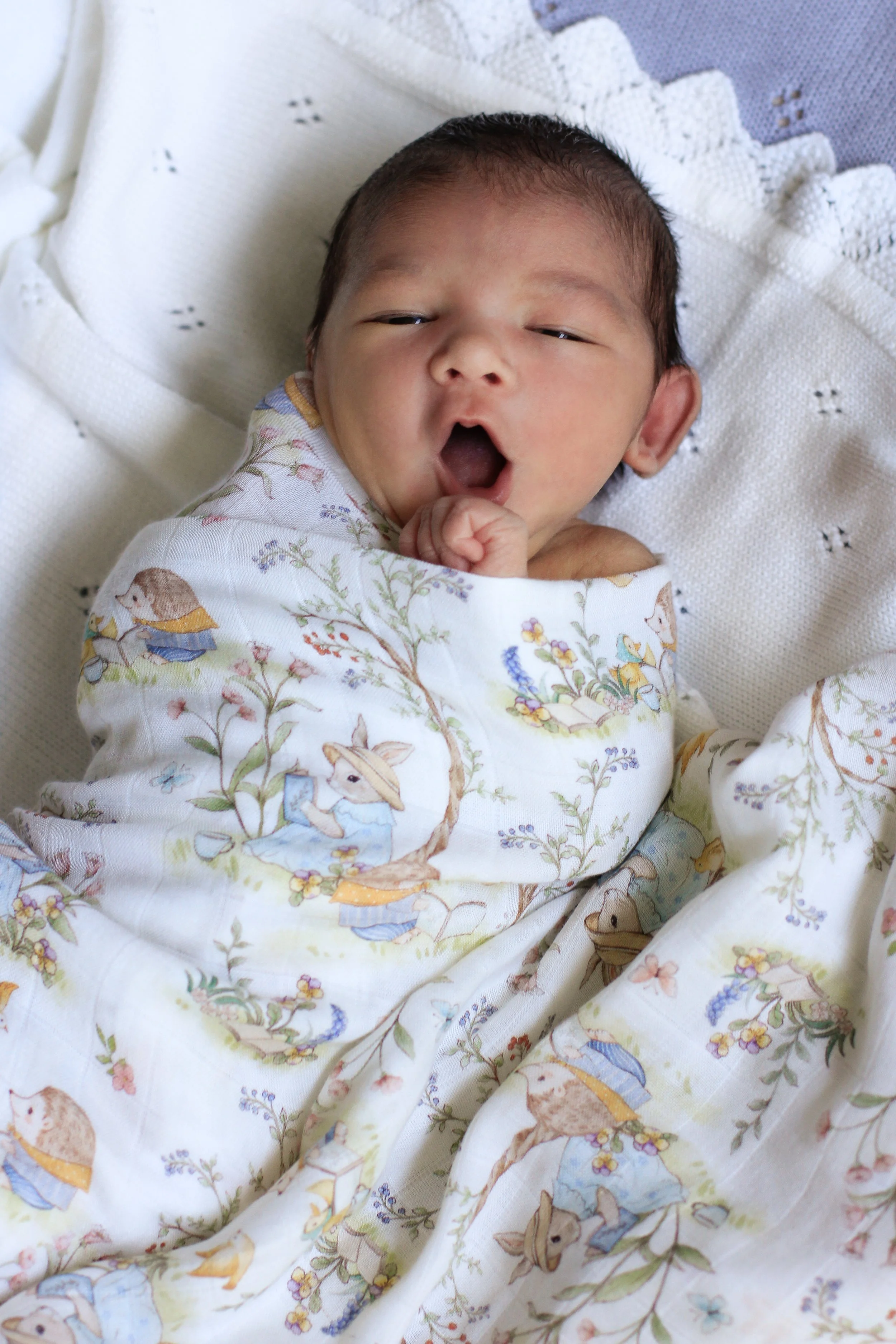 Beatrix Bamboo Cotton Wrap