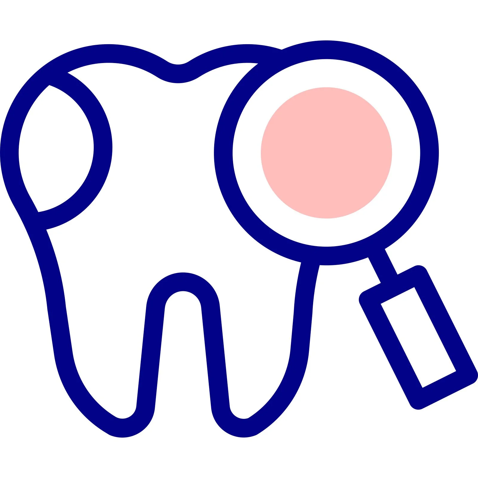 Dental check-up and professional teeth cleaning in Silverdale
