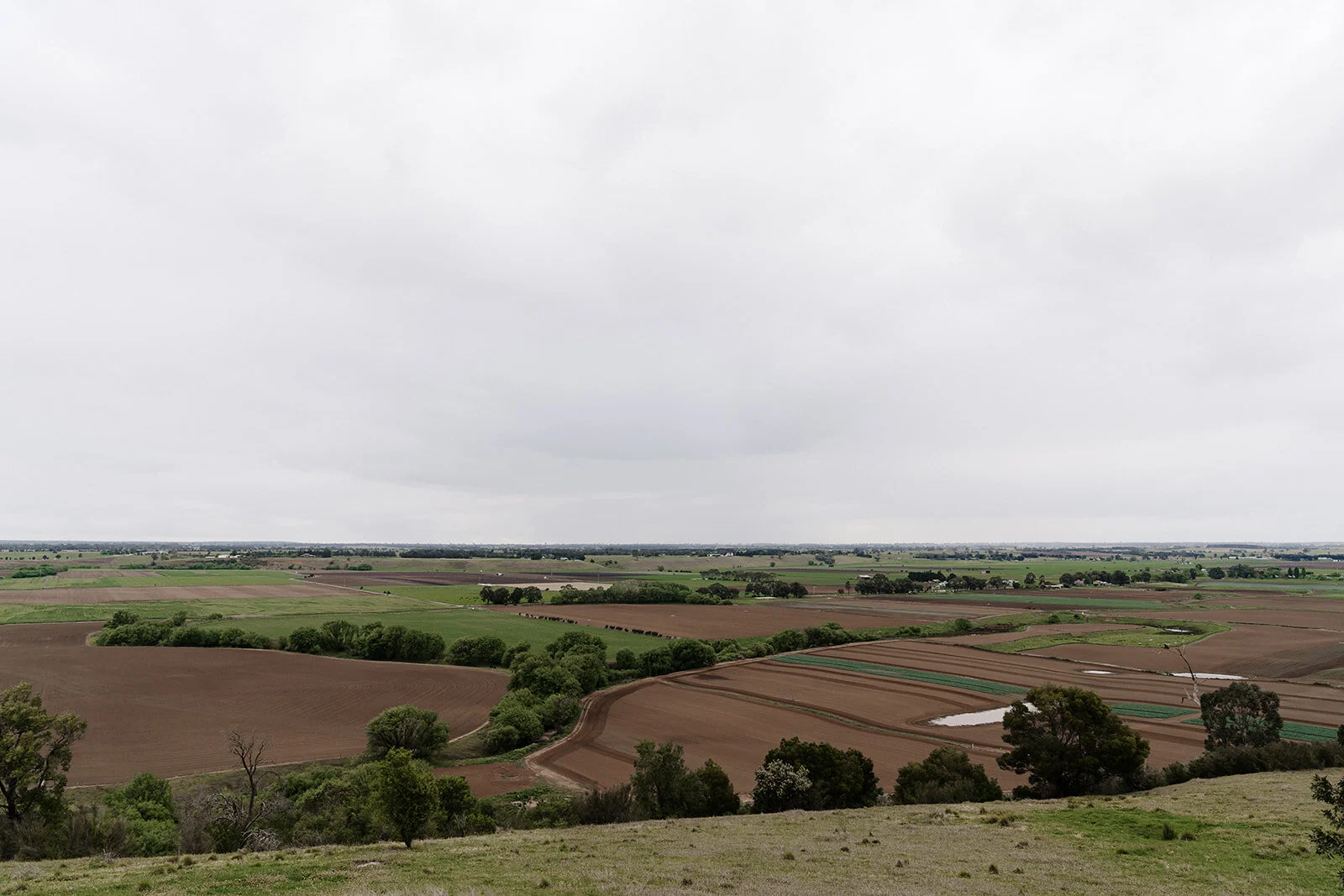 DSC05210.jpg