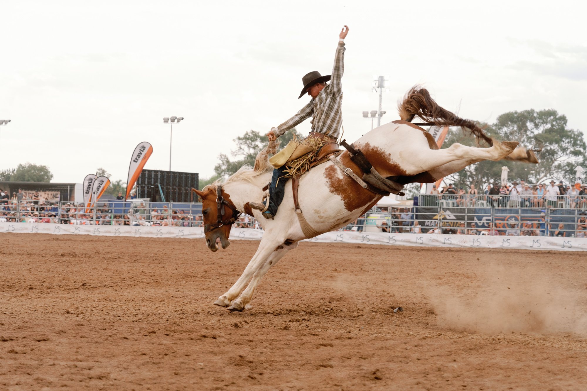 echuca_rodeo_web-04563.jpg