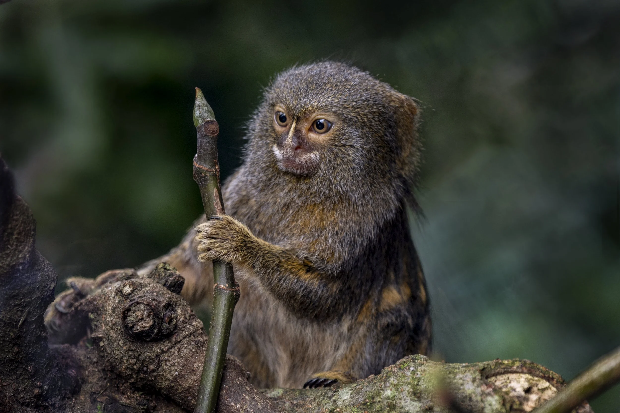 DSC_2761-Edit copy best.jpg