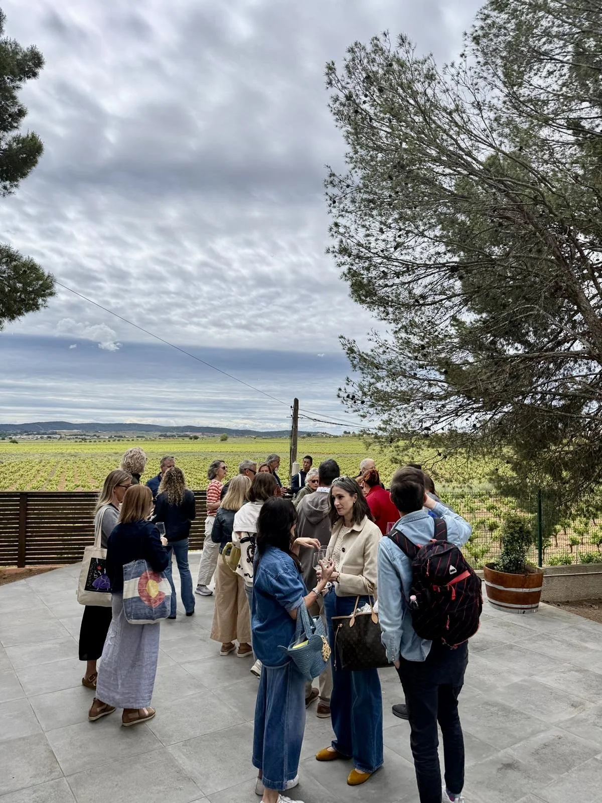 Encantada World expat social event in Requena, Spain — clients enjoying a day of wine tasting and local cuisine.