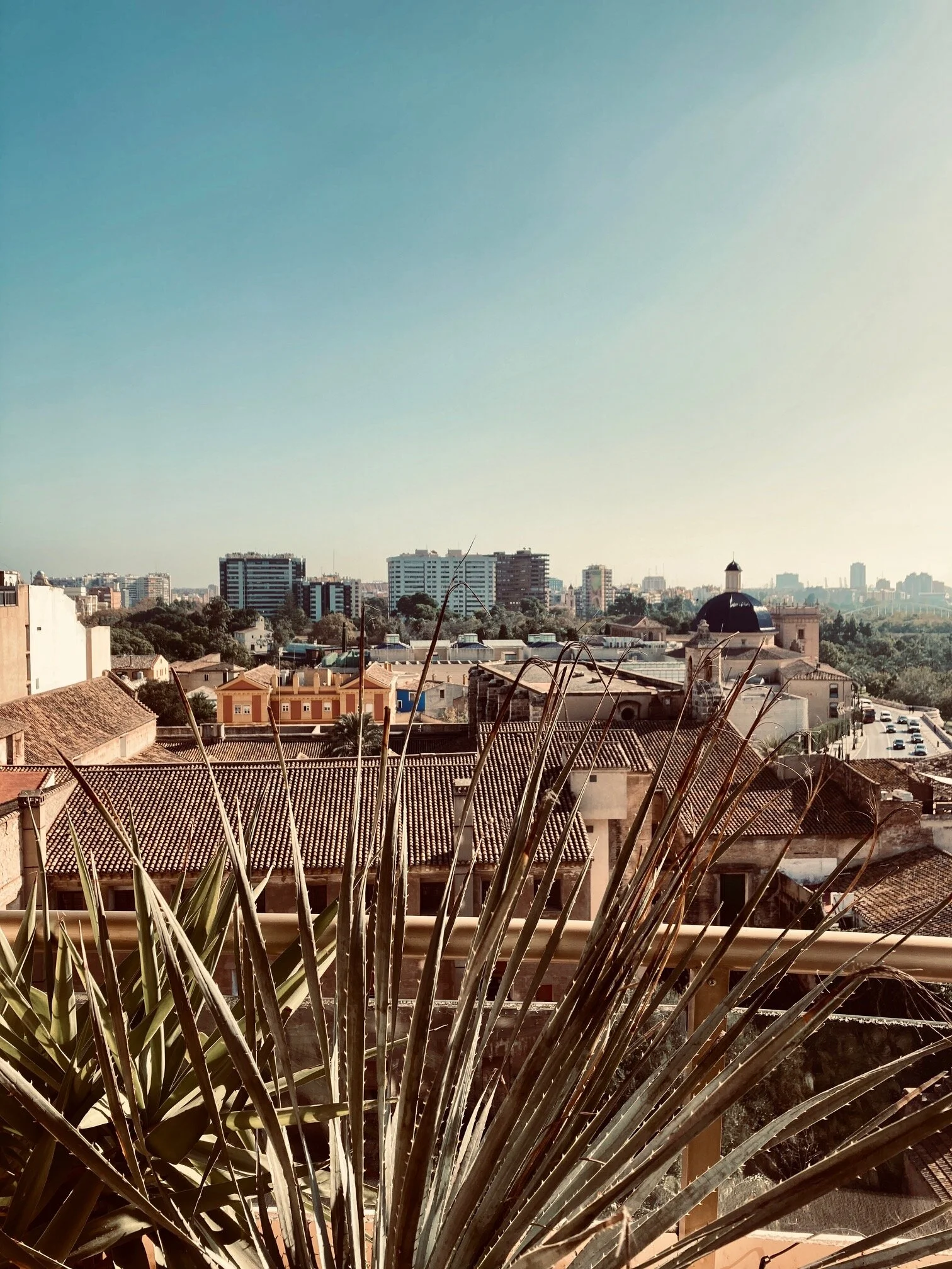 Why Live in Valencia?