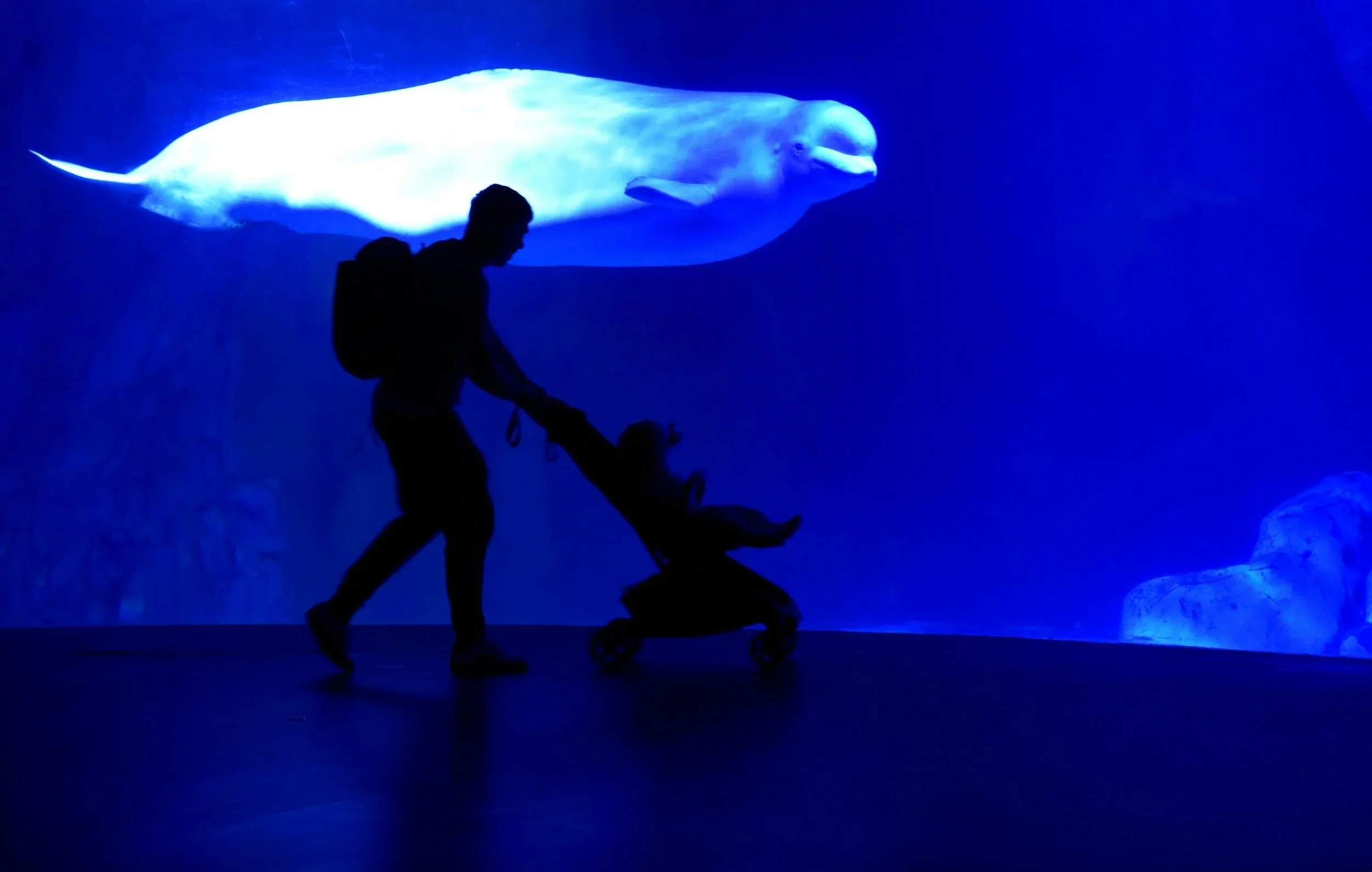 Fun Things to Do with Kids in Valencia — Our Family Guide