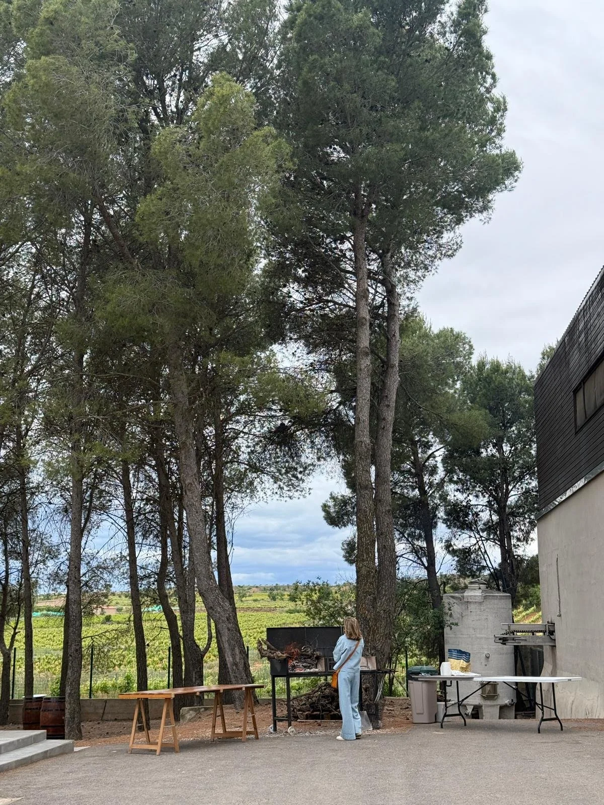 Maria Alacreu Carbonell, Encantada World Co-Founder, wine tasting with clients in Requena, Spain.