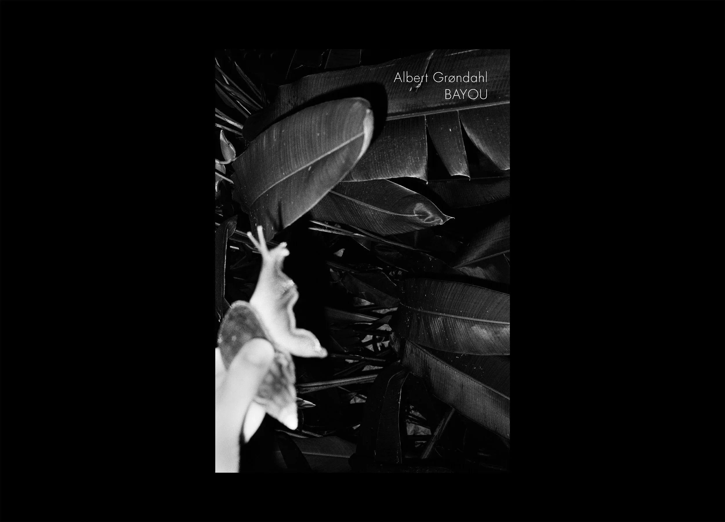 Albert Grøndahl — Bayou