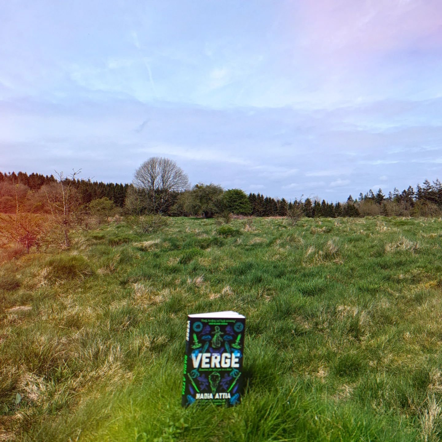 I took my paperback out for a walk today. That's a bit weird isn't it? 😆🌳🌱
.
.
.
#verge #Horror #HorrorFiction #NewBook #BookRecommendations #FolkHorror #debutnovel #nadiaattia #bookstagram #bookstagramuk #omens #spells #superstitions #booknerd #2