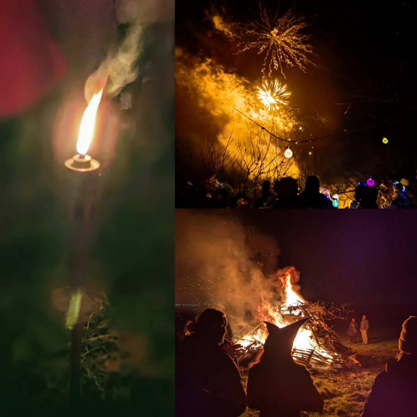 Wassail! 🍎🍏🌳🥁🍞🍻