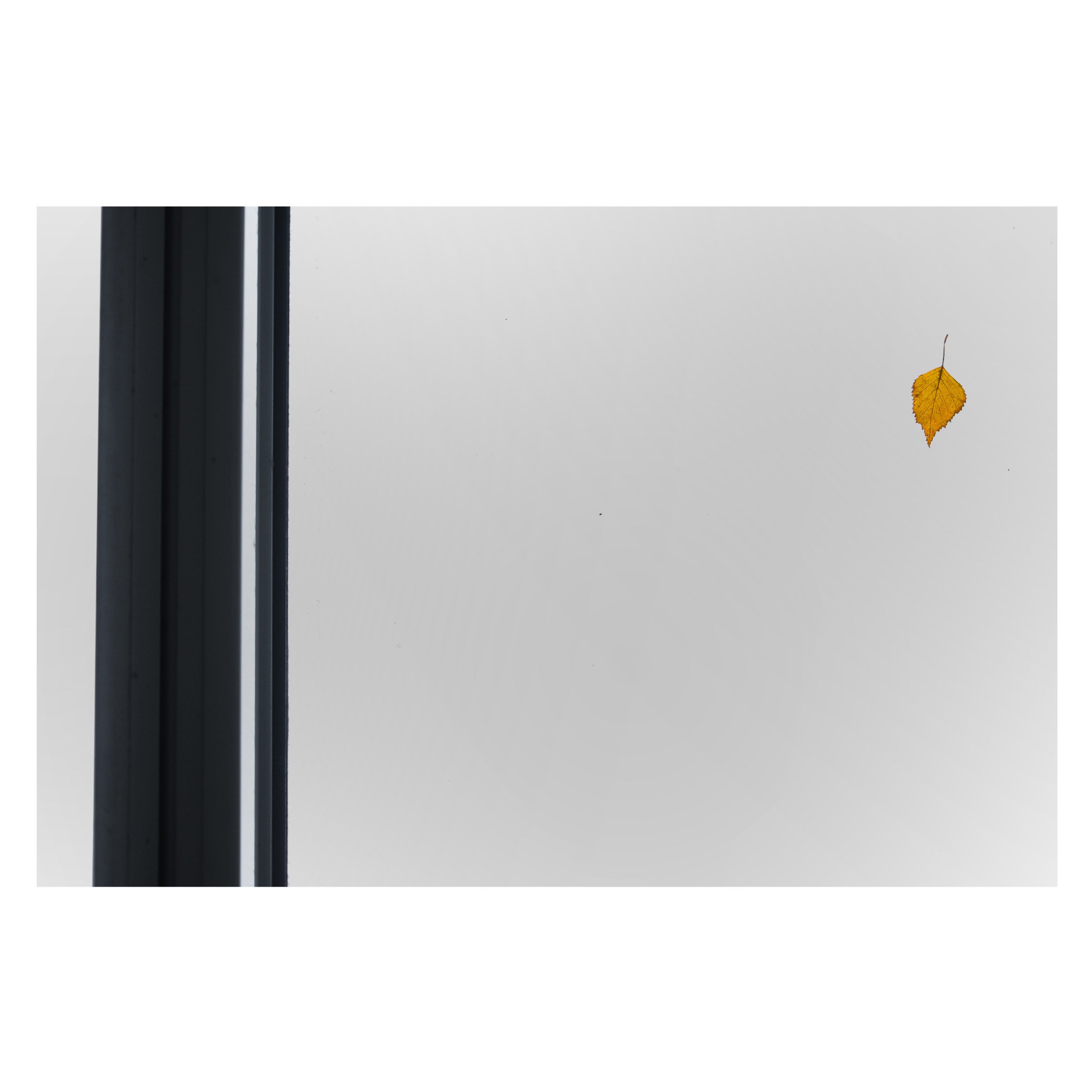 FF72B1E1-BFA9-4BAC-9D63-9162C14ABF19 4.JPG