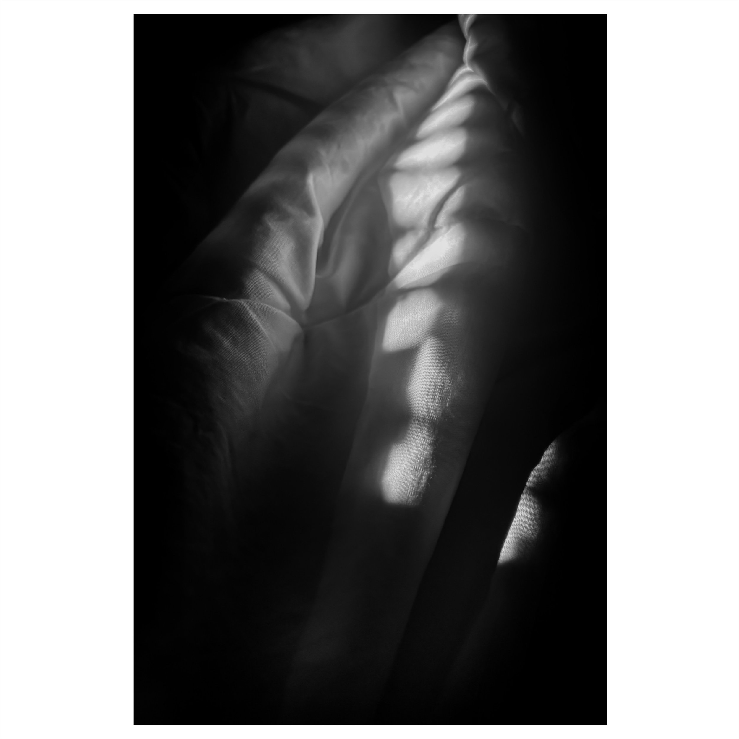 9317F9BC-996A-43AA-B826-F17213873B72 3.JPG