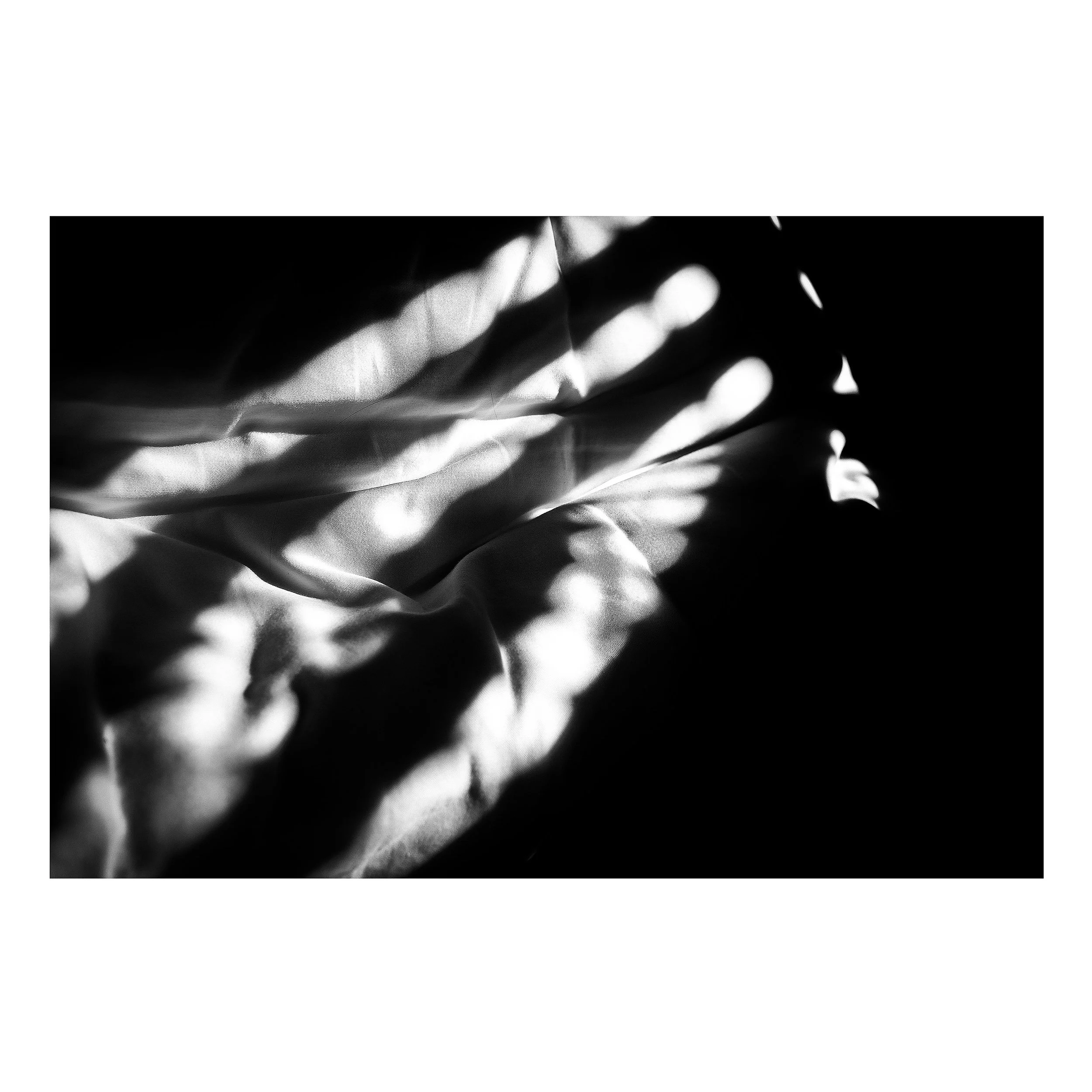 4F868AAF-7A48-4B2F-985E-5F5729FE1075 3.JPG