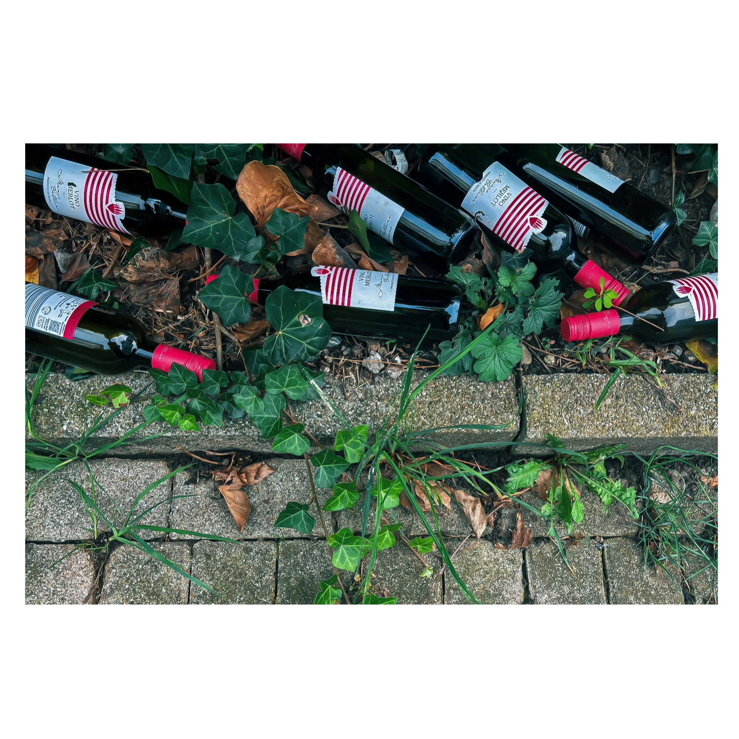 74801DD1-CBFE-4CF9-87CA-89073A585E26 3.JPG