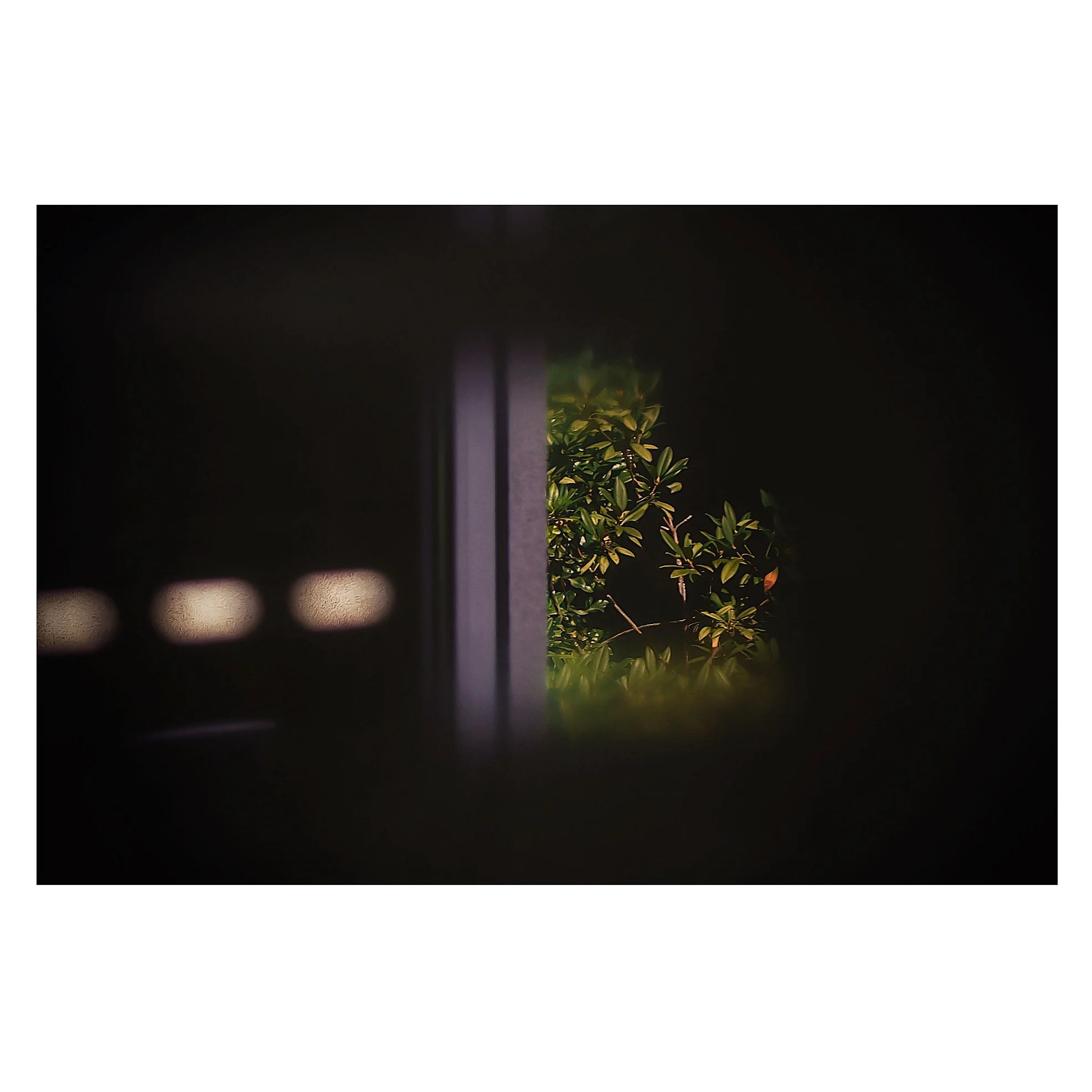 554D3C45-757C-4084-8C55-926956432E83 3.JPG