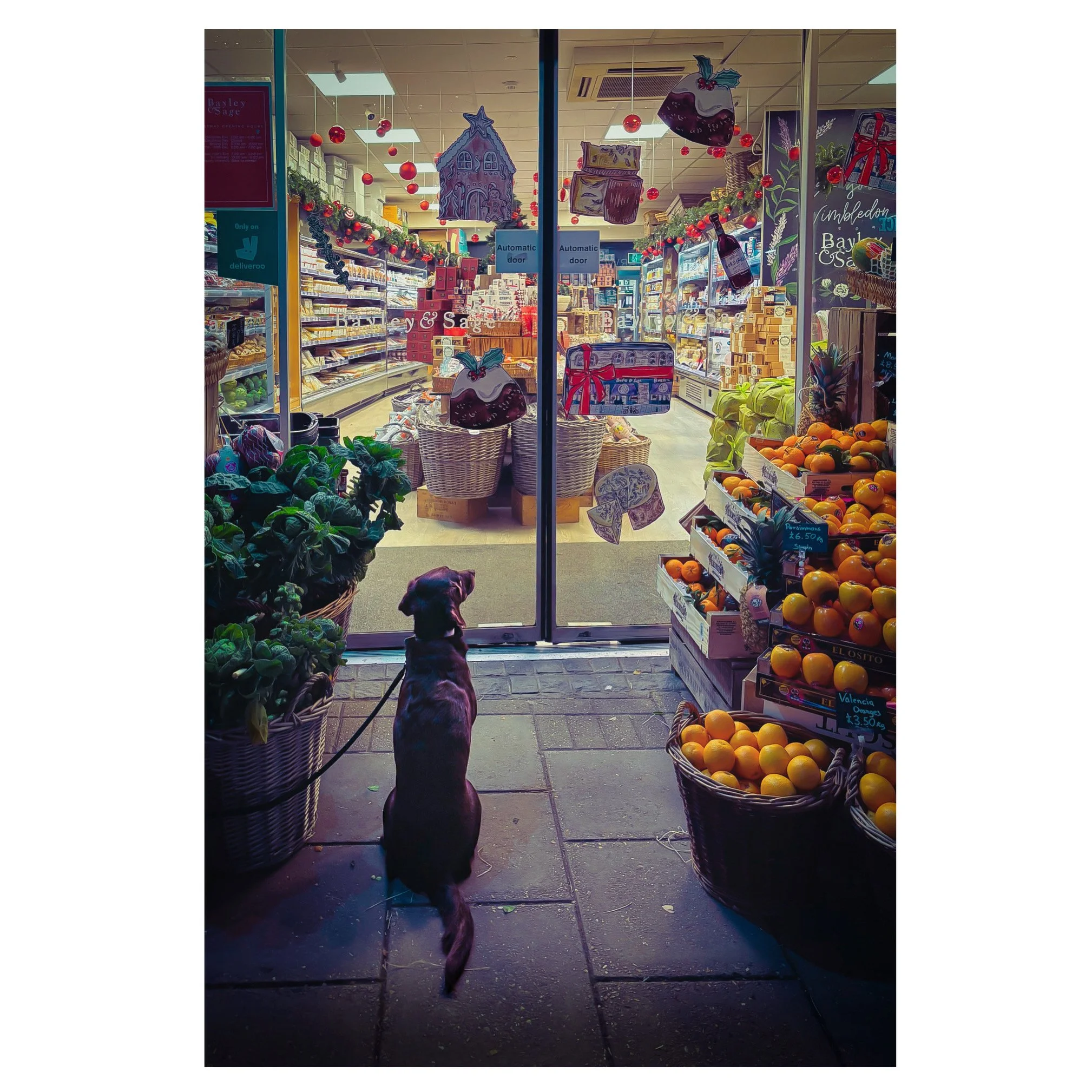 ED402E61-272B-4B4C-AE9D-42BFDC7D1ED7 3.JPG