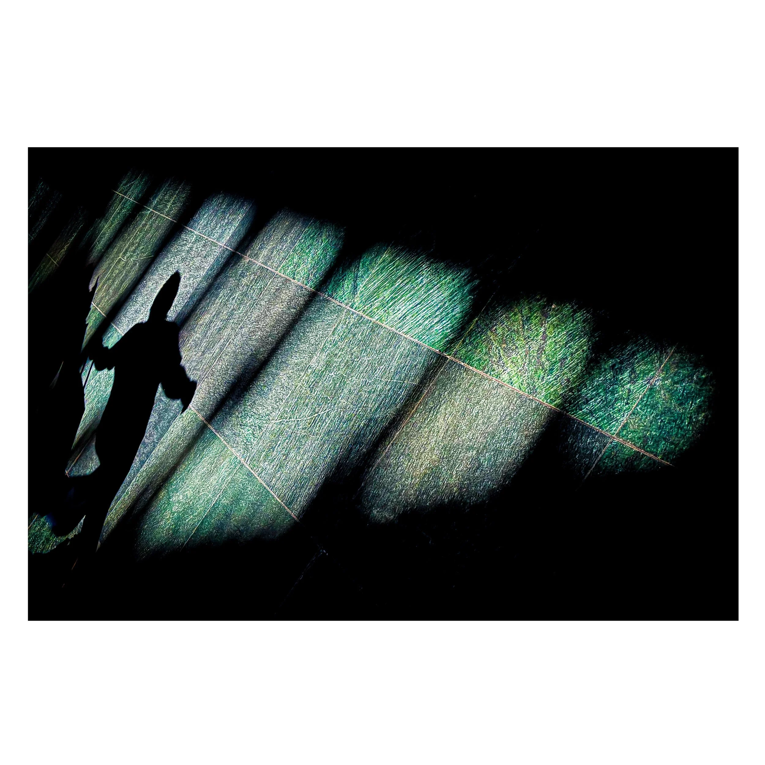 E5981E8B-58F6-45CC-96DD-46D6C8598E4F 3.JPG