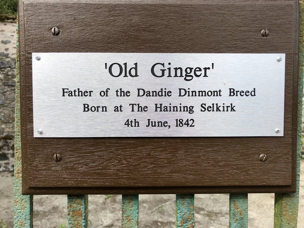 About Old Ginger