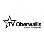 DAN DANIELL auf TV OBERWALLIS