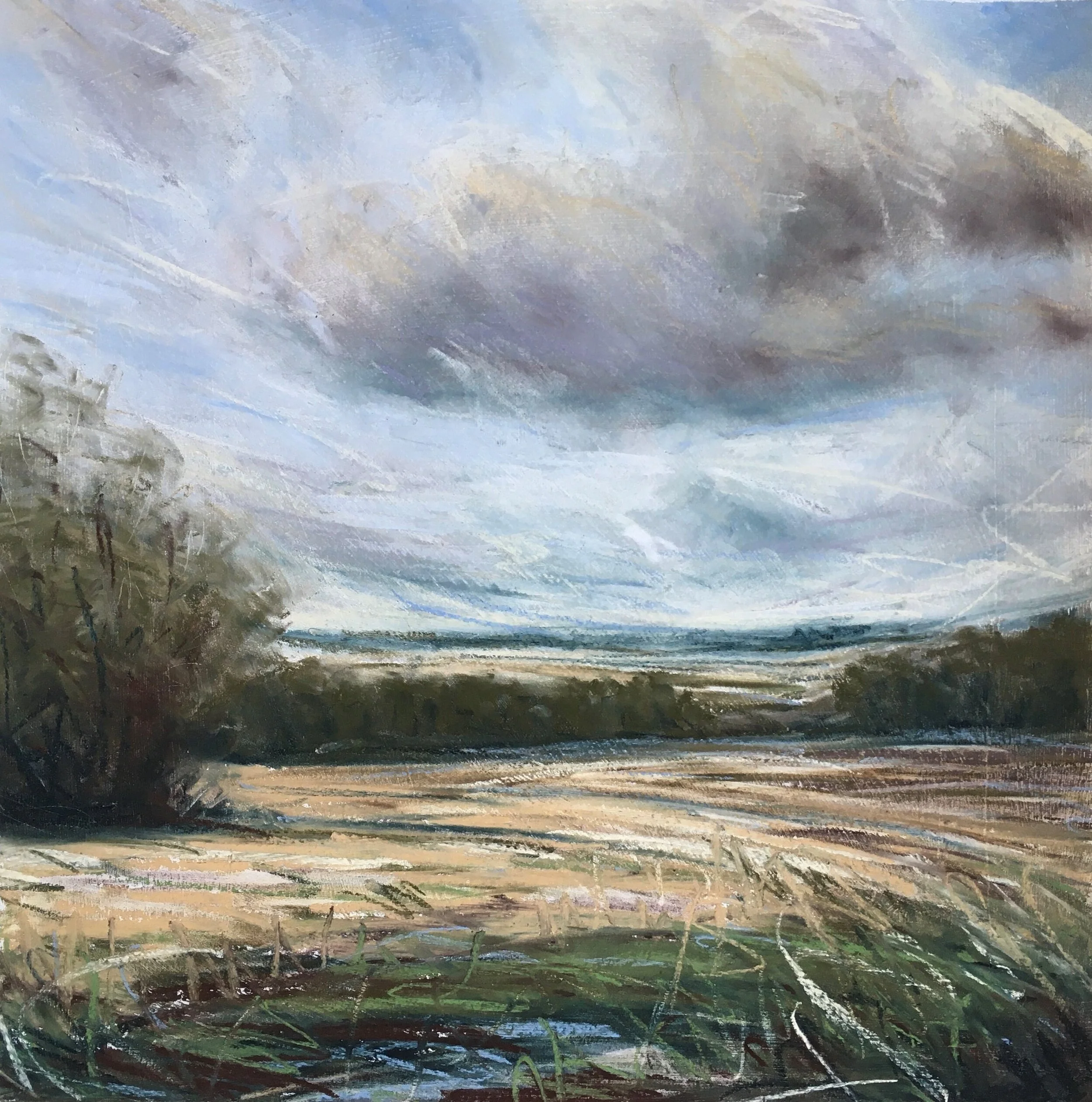 Pastel study made from my garden.