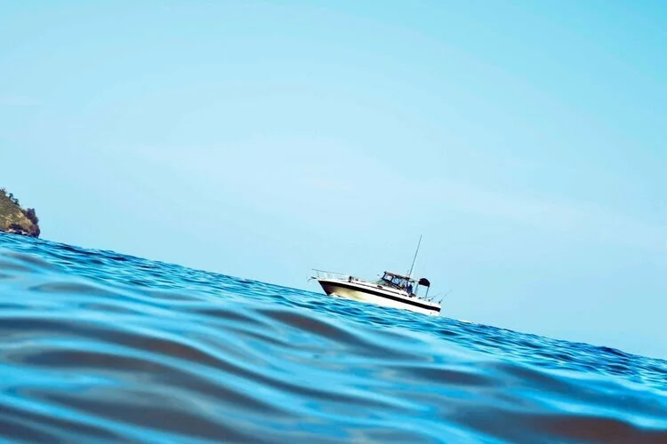 How are you weathering the storm?