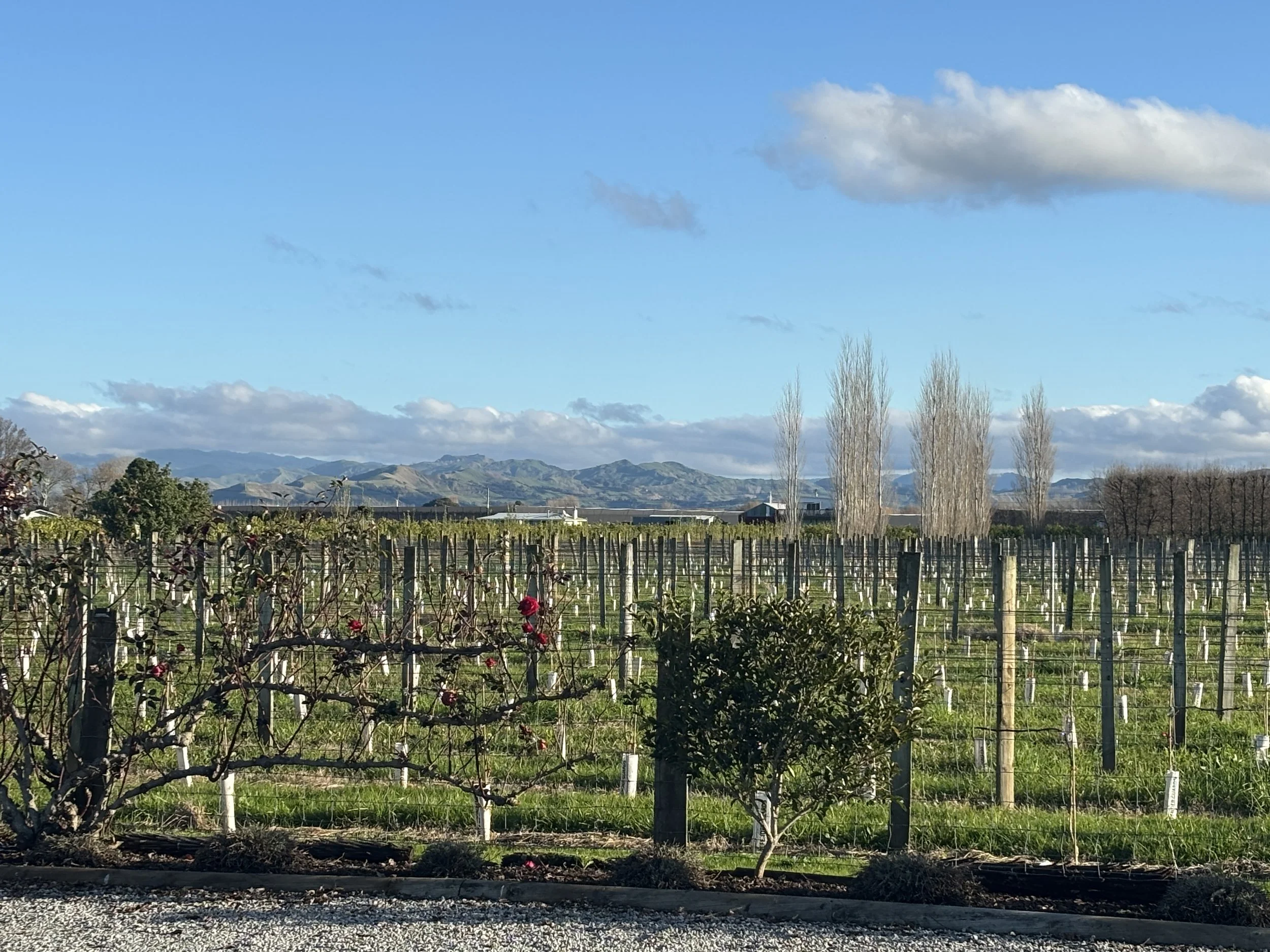 Back to it. Holiday is over