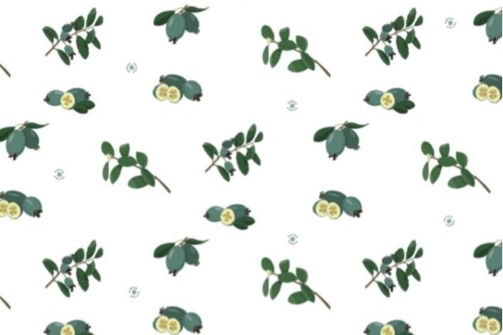 Feijoa-Studio-London-UK-Feijoa-gift-wrap-paper.jpg