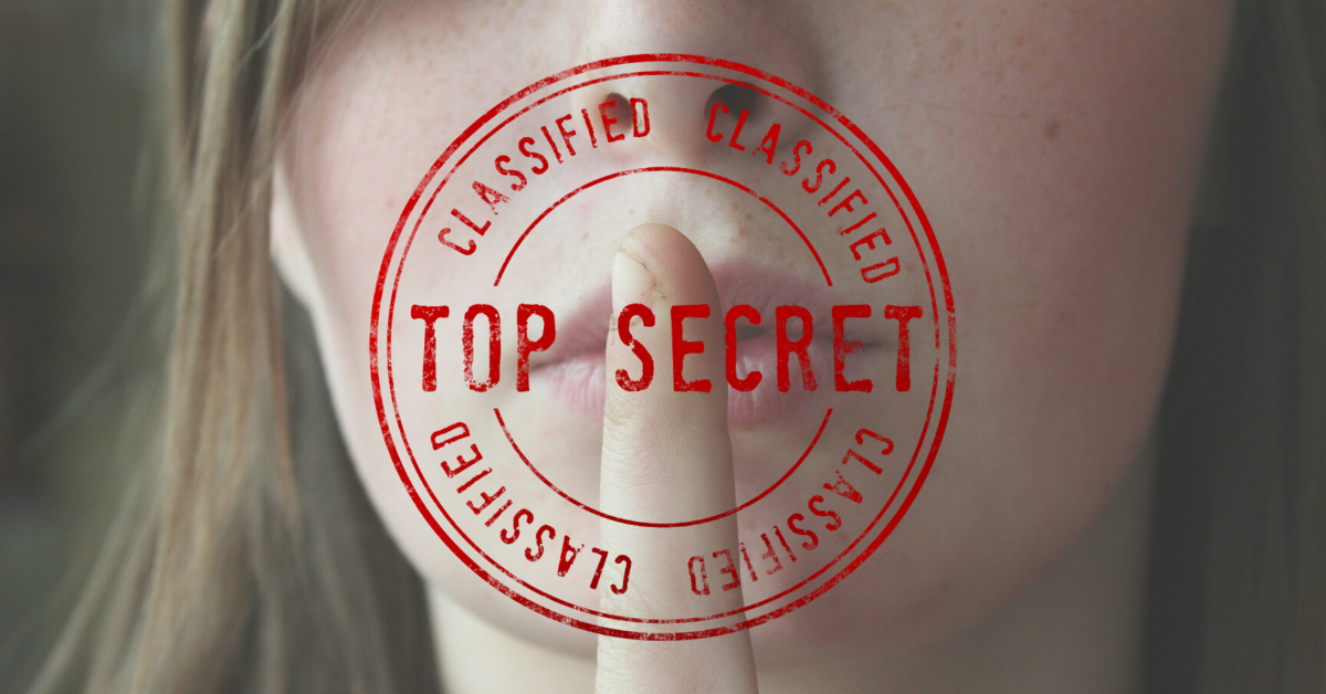 SWT council taunton bid lack of transparency top secret.png