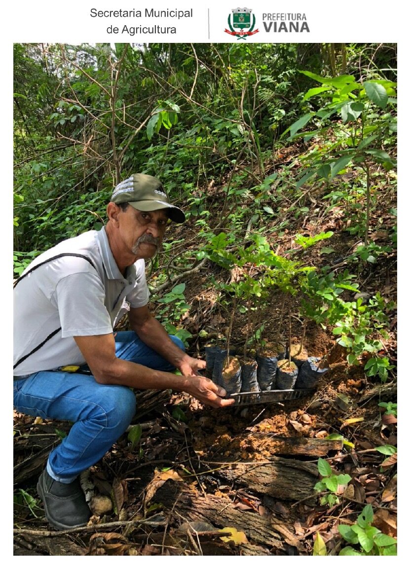 Pernambuco planting 3.jpeg