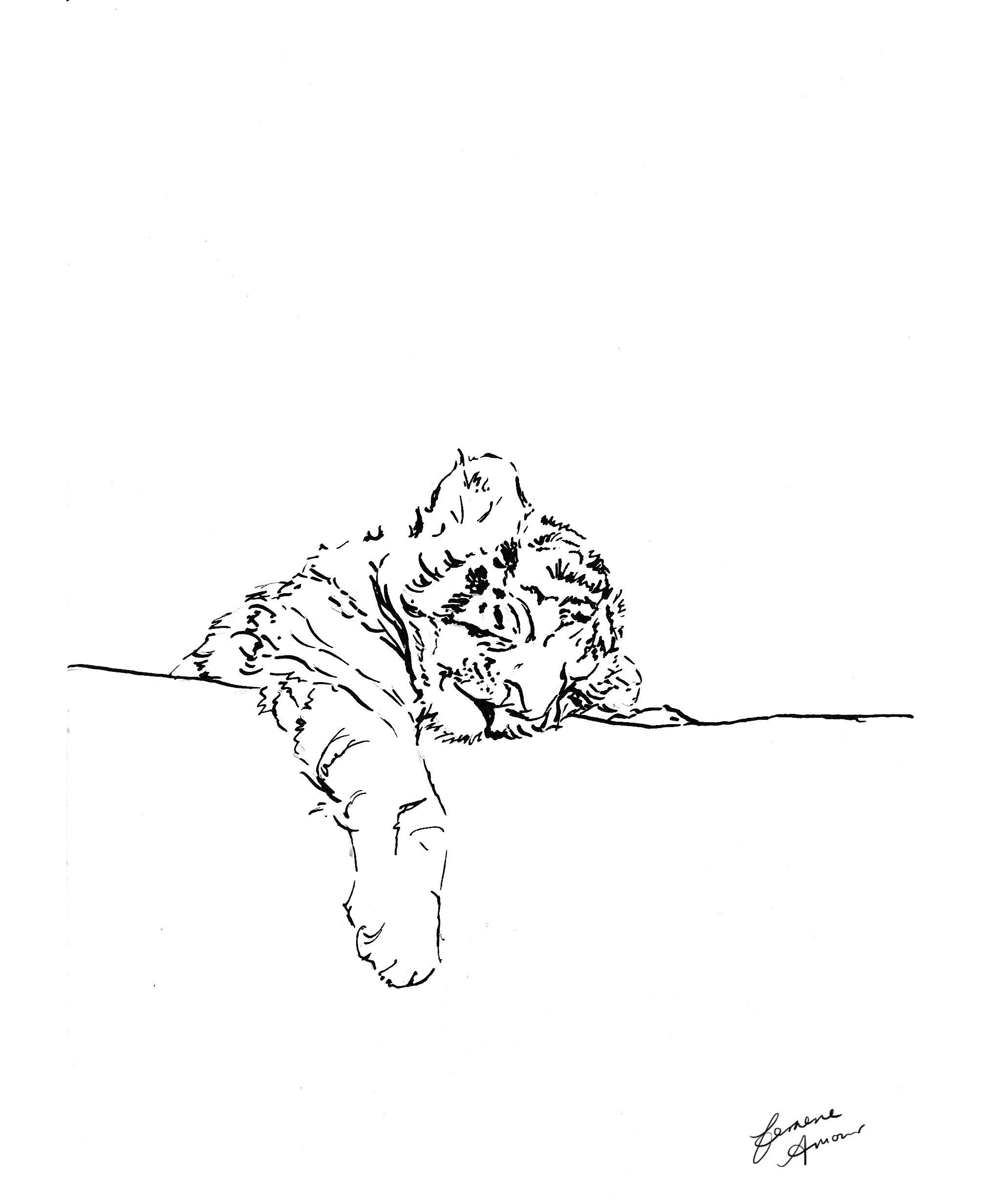 nap_site.jpg