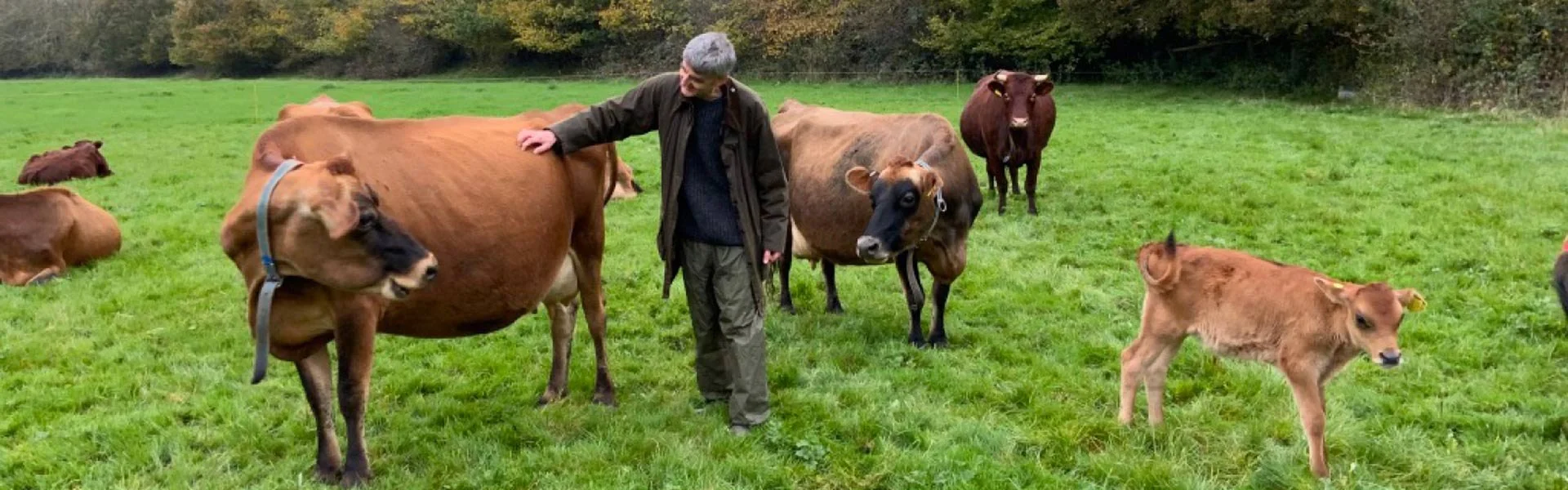Preventative Farm Homeopathy for Livestock Farmers