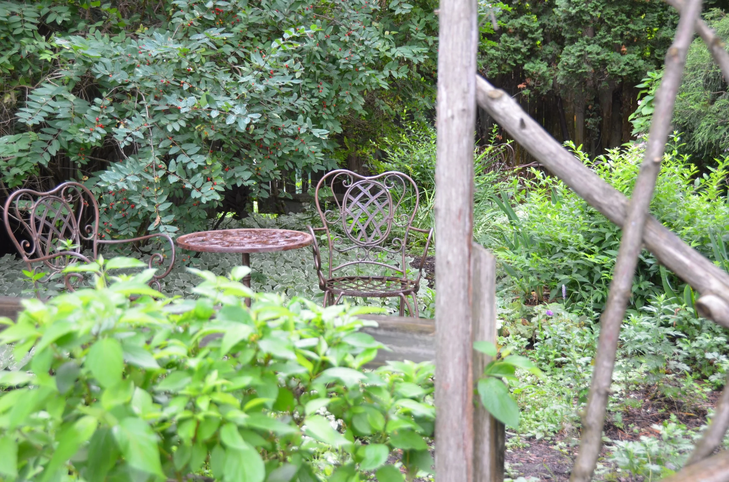 outdoor seating and garden